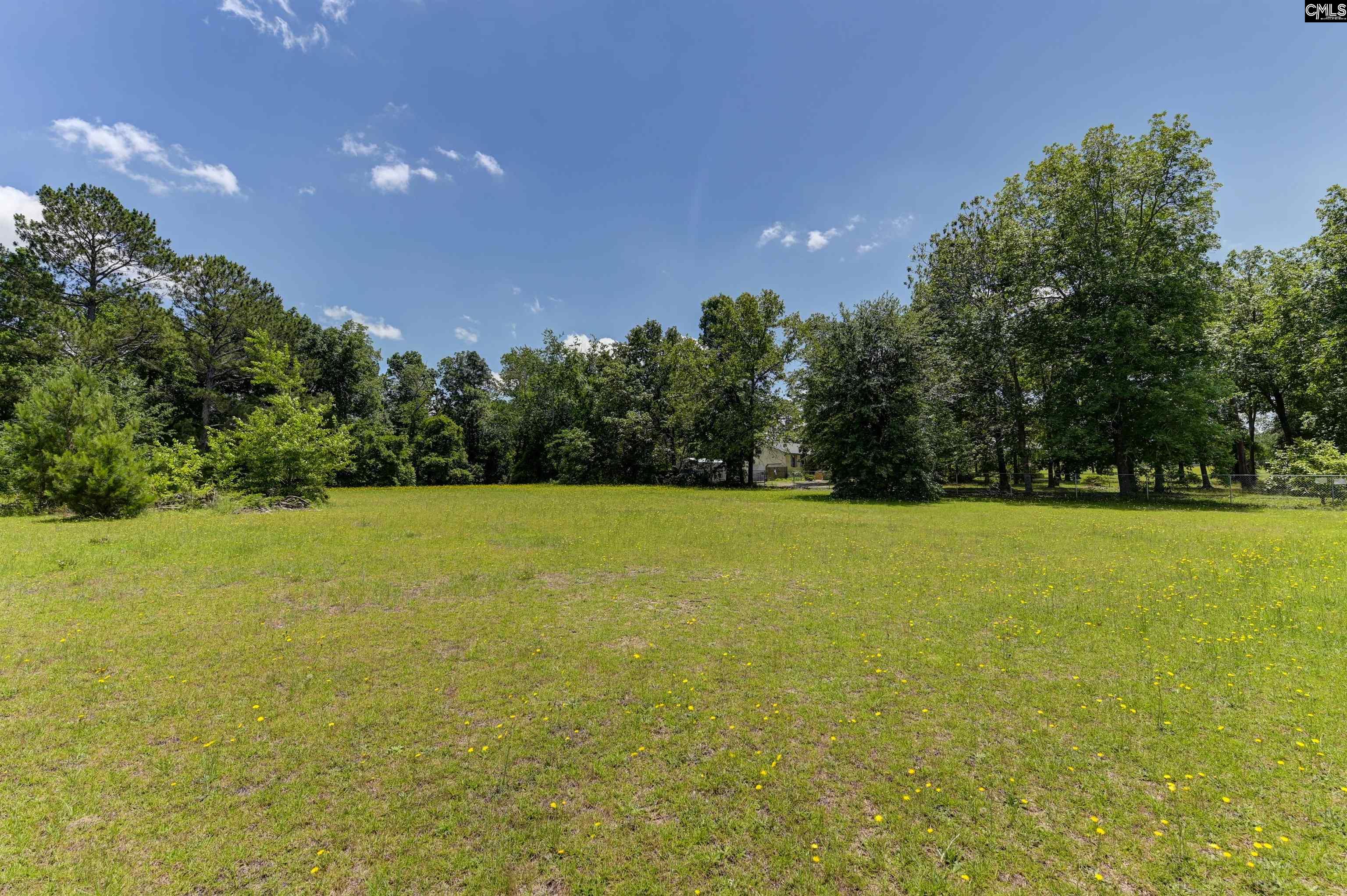 4303 Fish Hatchery Road, Gaston, South Carolina image 3