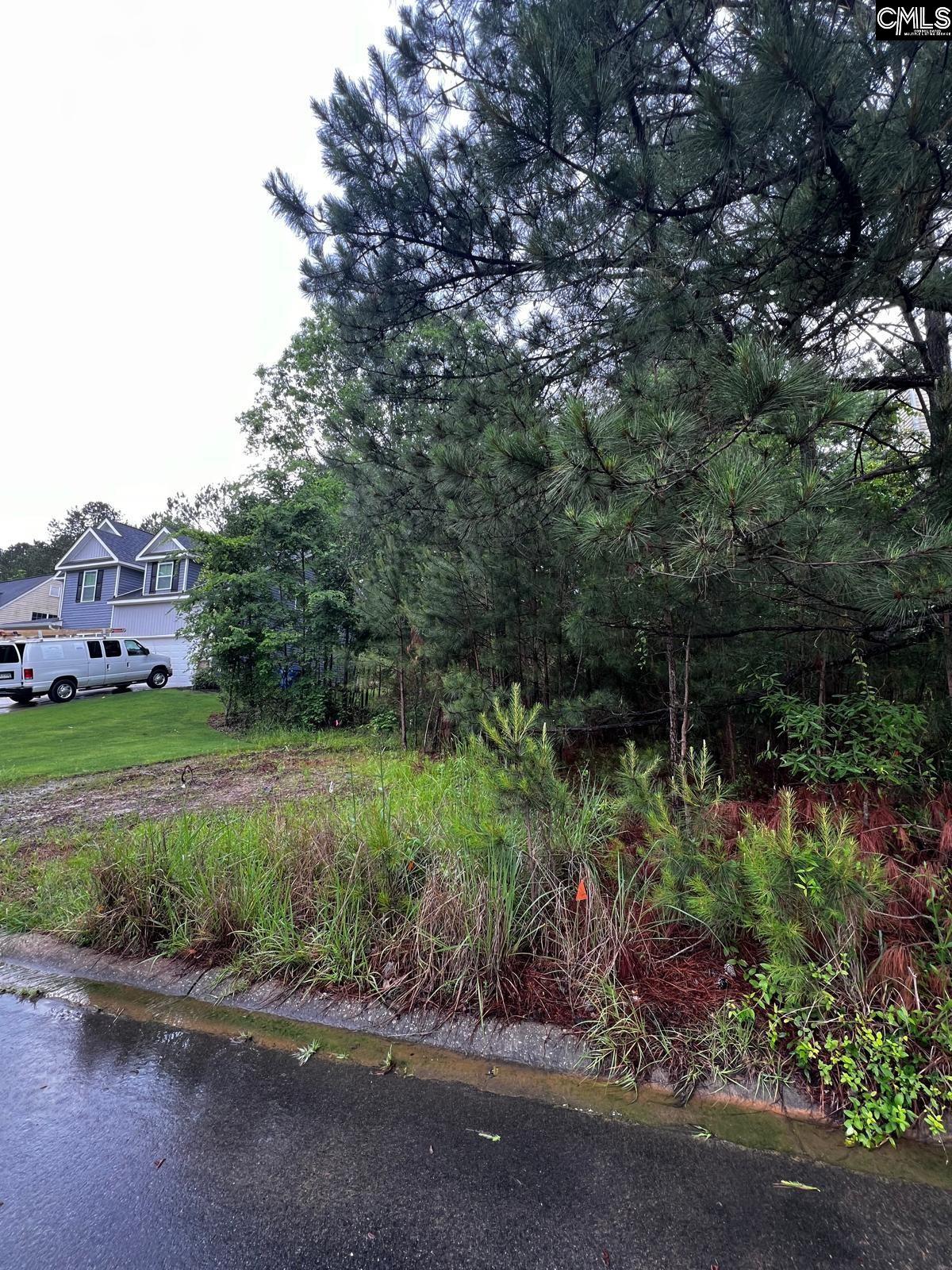 145 Pond Oak Lane, Columbia, South Carolina image 3