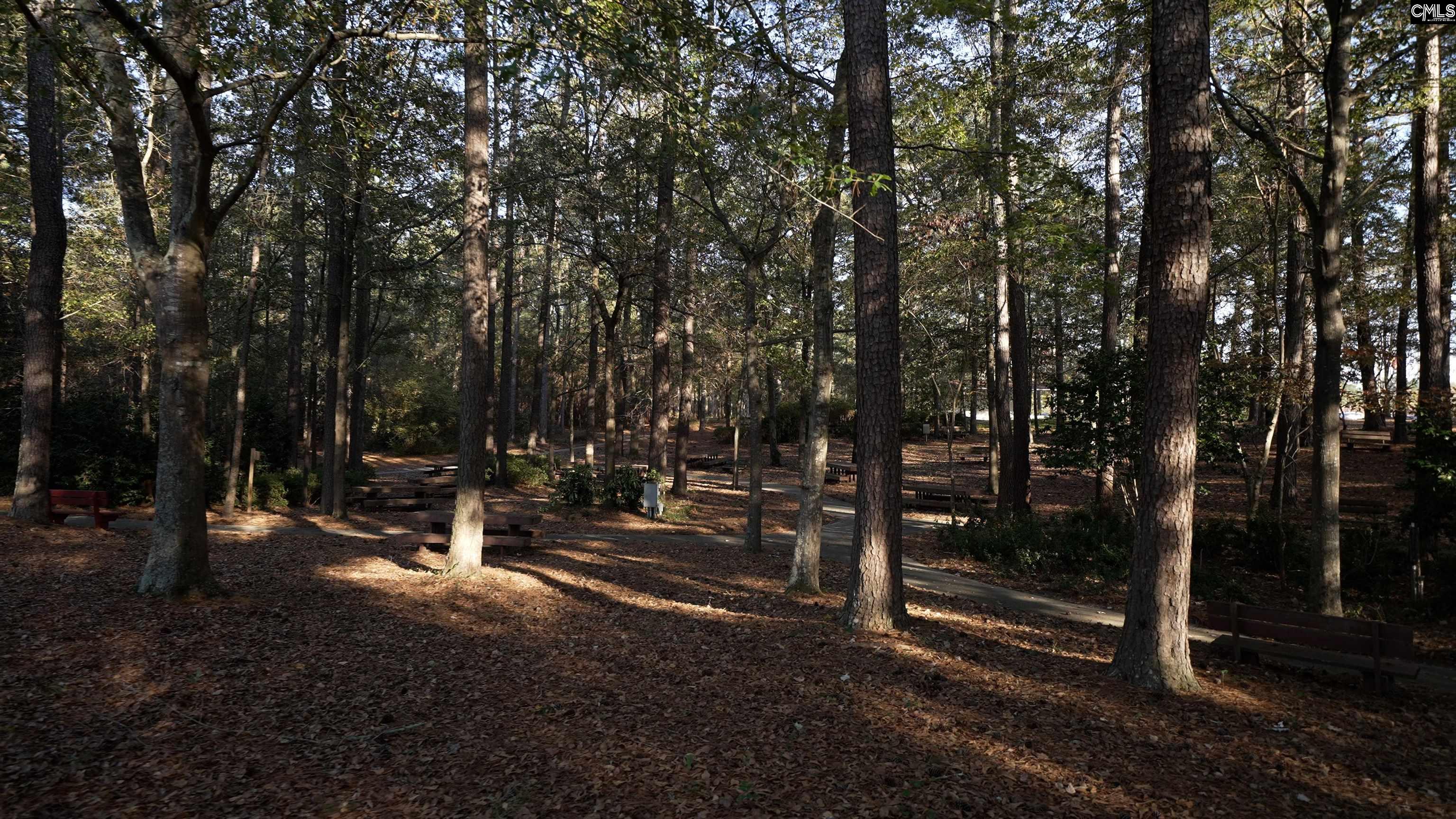 611 Olympia Street, Gilbert, South Carolina image 25