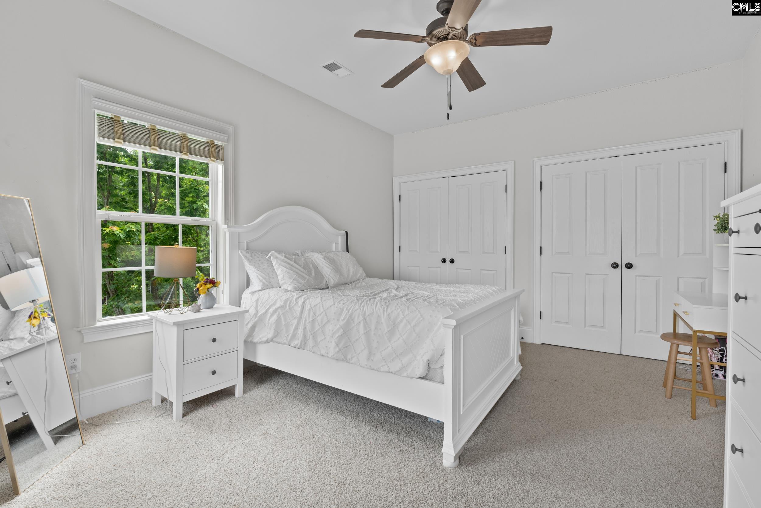 801 Boatswain Loop, Chapin, South Carolina image 29