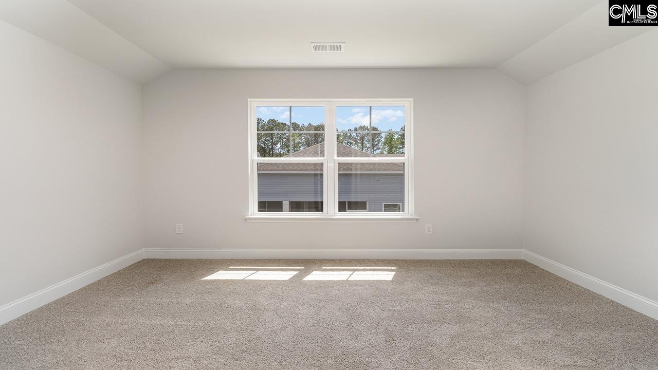228 Livingston Woods Drive, Irmo, South Carolina image 33