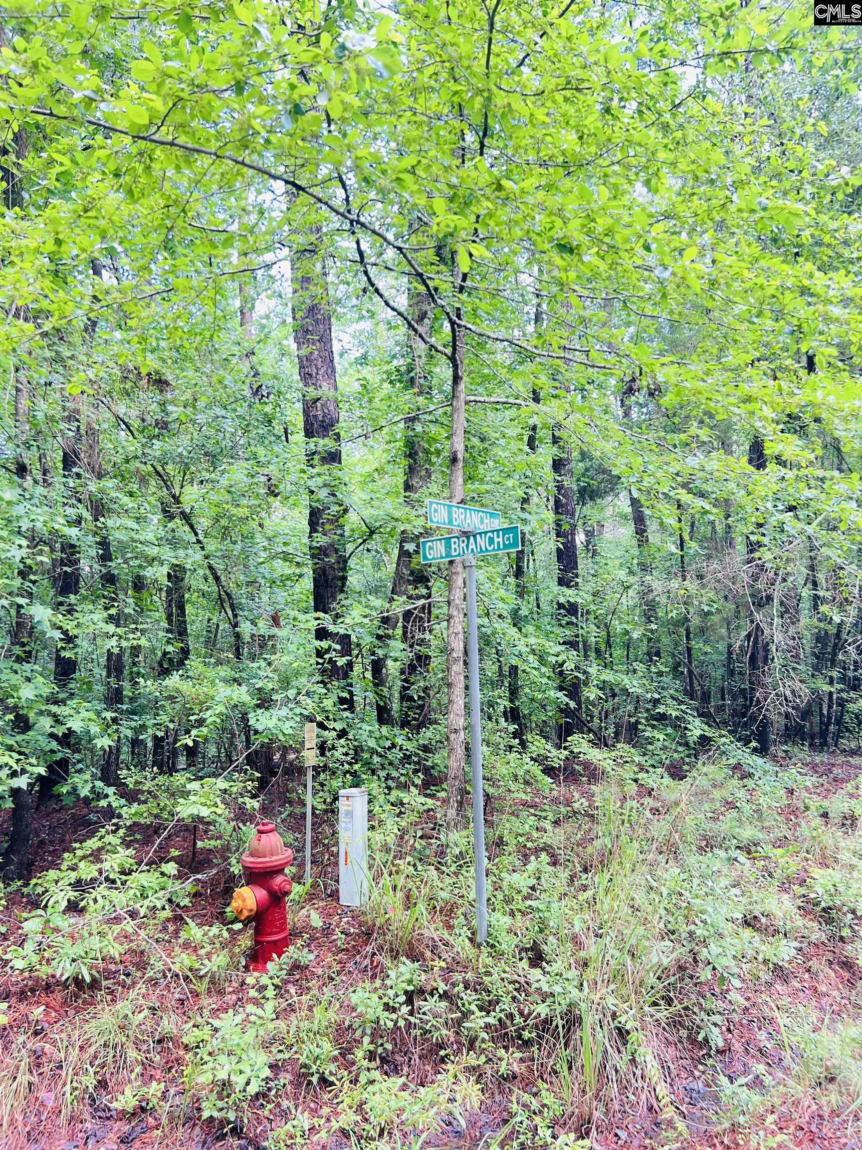 2 Gin Branch Court, Leesville, South Carolina image 2