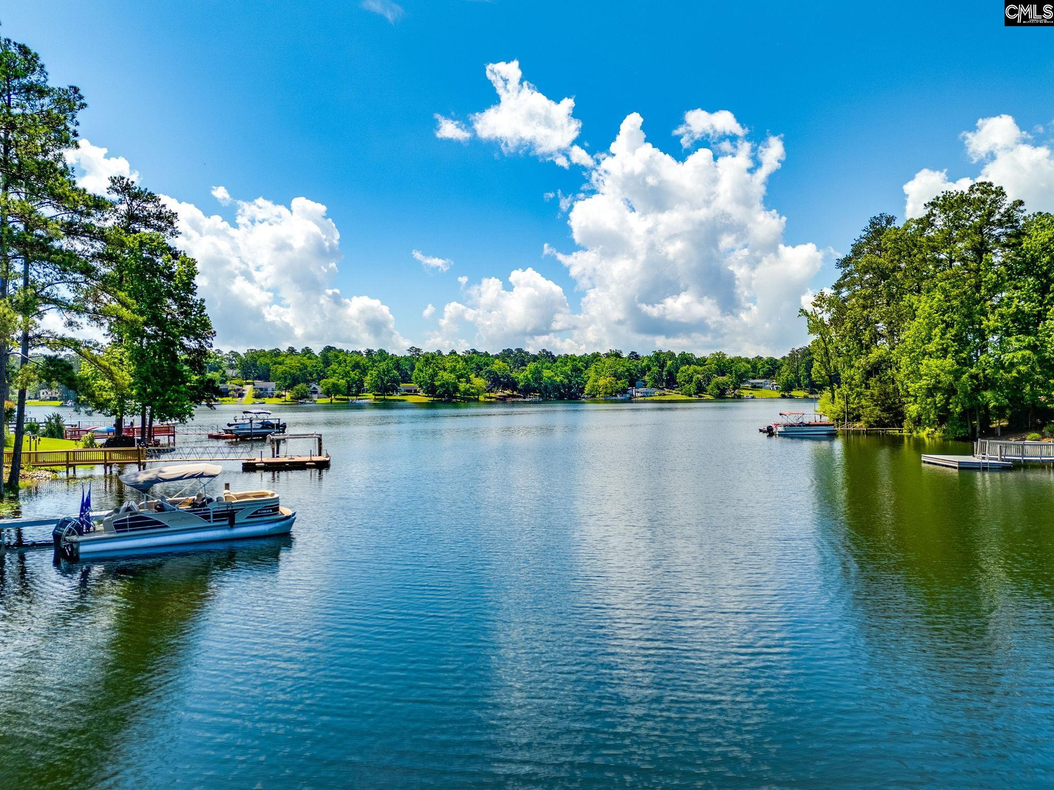 130 Heavens Edge Court, Chapin, South Carolina image 1