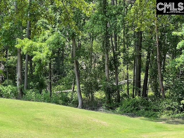 60 Shagbark Court, Aiken, South Carolina image 1