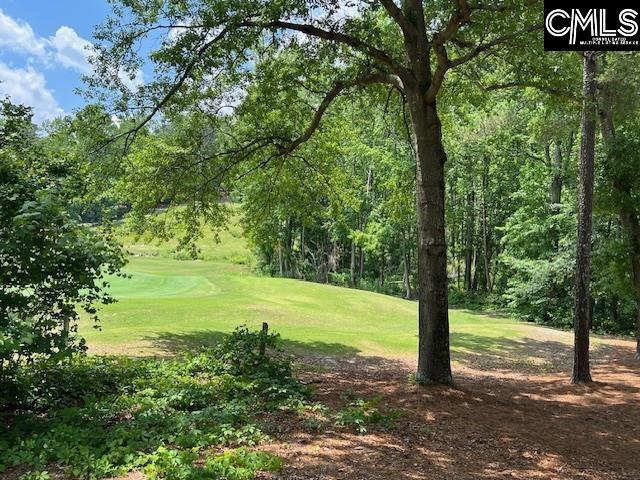 60 Shagbark Court, Aiken, South Carolina image 2