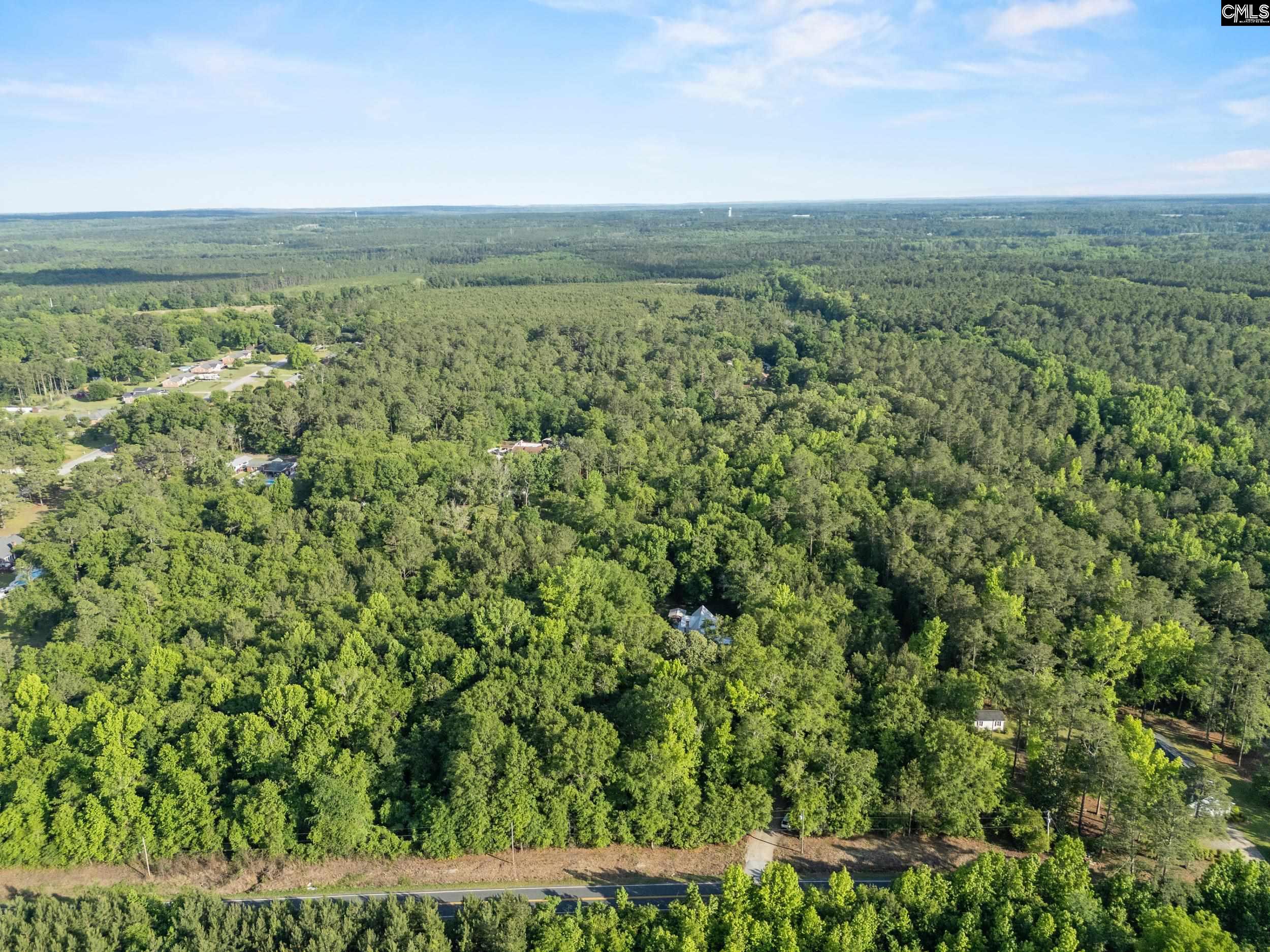 1604 Malvern Hill Drive, Camden, South Carolina image 42