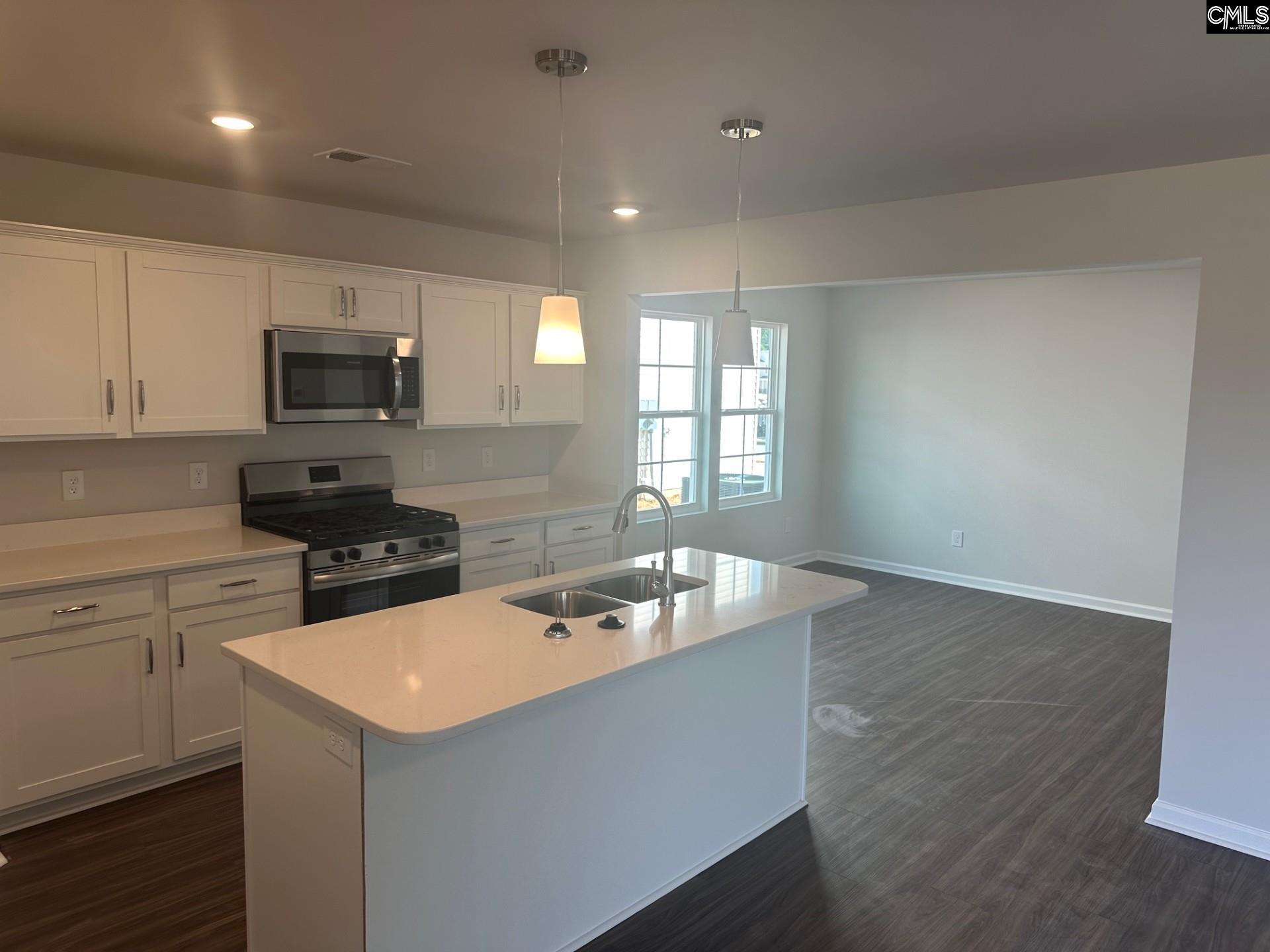 743 Clementine Run, Gilbert, South Carolina image 4