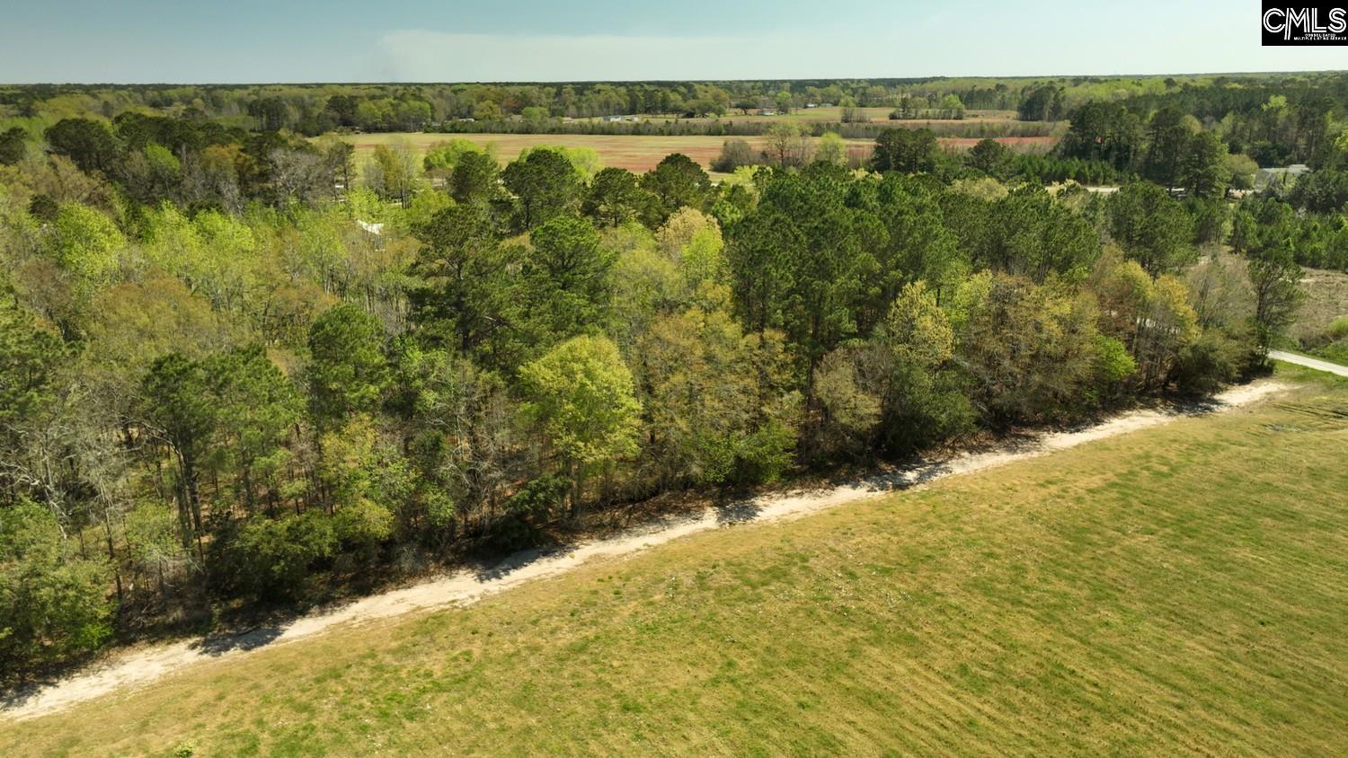 Friendship Road, Santee, South Carolina image 11