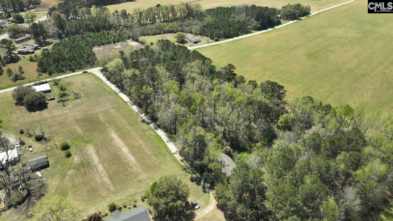 Friendship Road, Santee, South Carolina image 14
