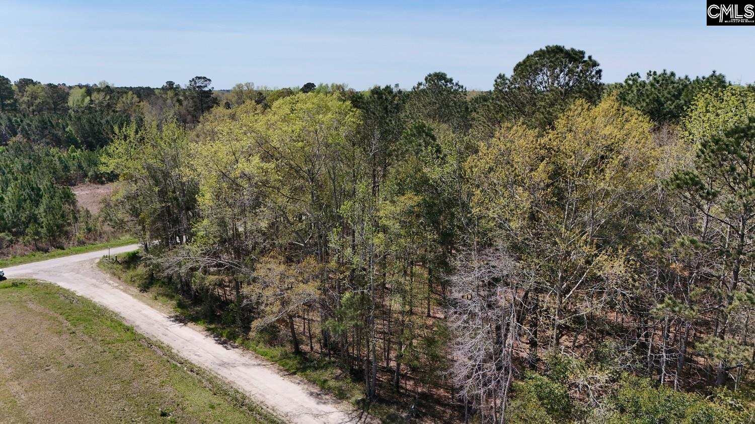 Friendship Road, Santee, South Carolina image 15