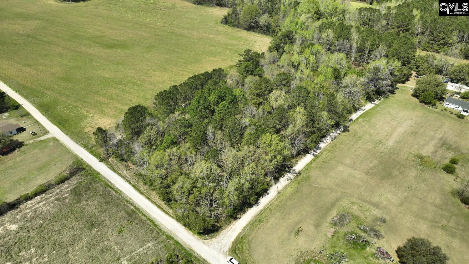 Friendship Road, Santee, South Carolina image 17