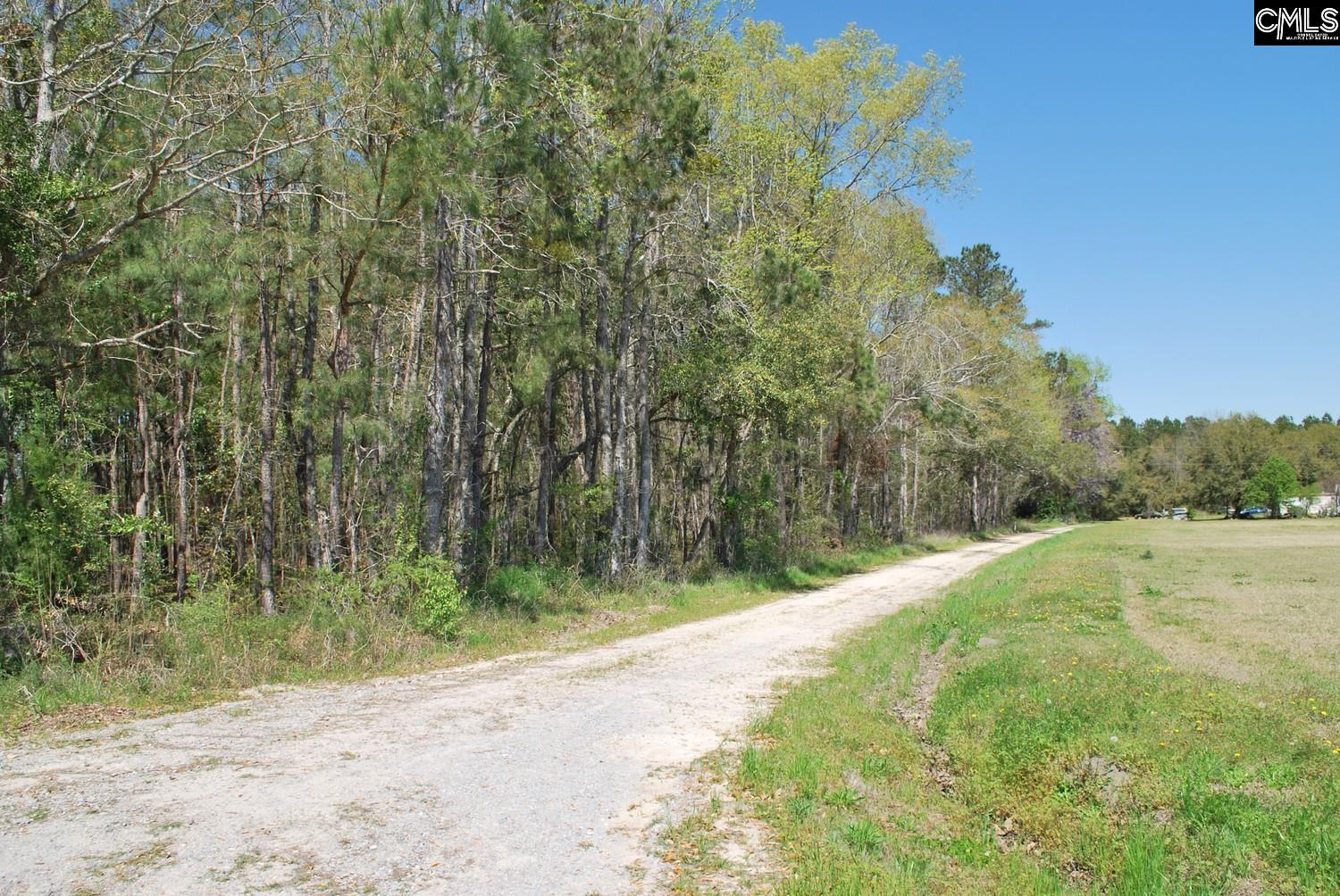Friendship Road, Santee, South Carolina image 19