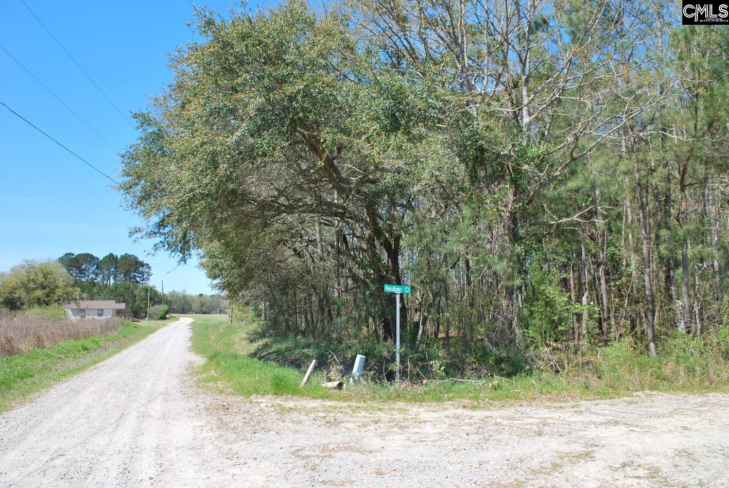 Friendship Road, Santee, South Carolina image 20
