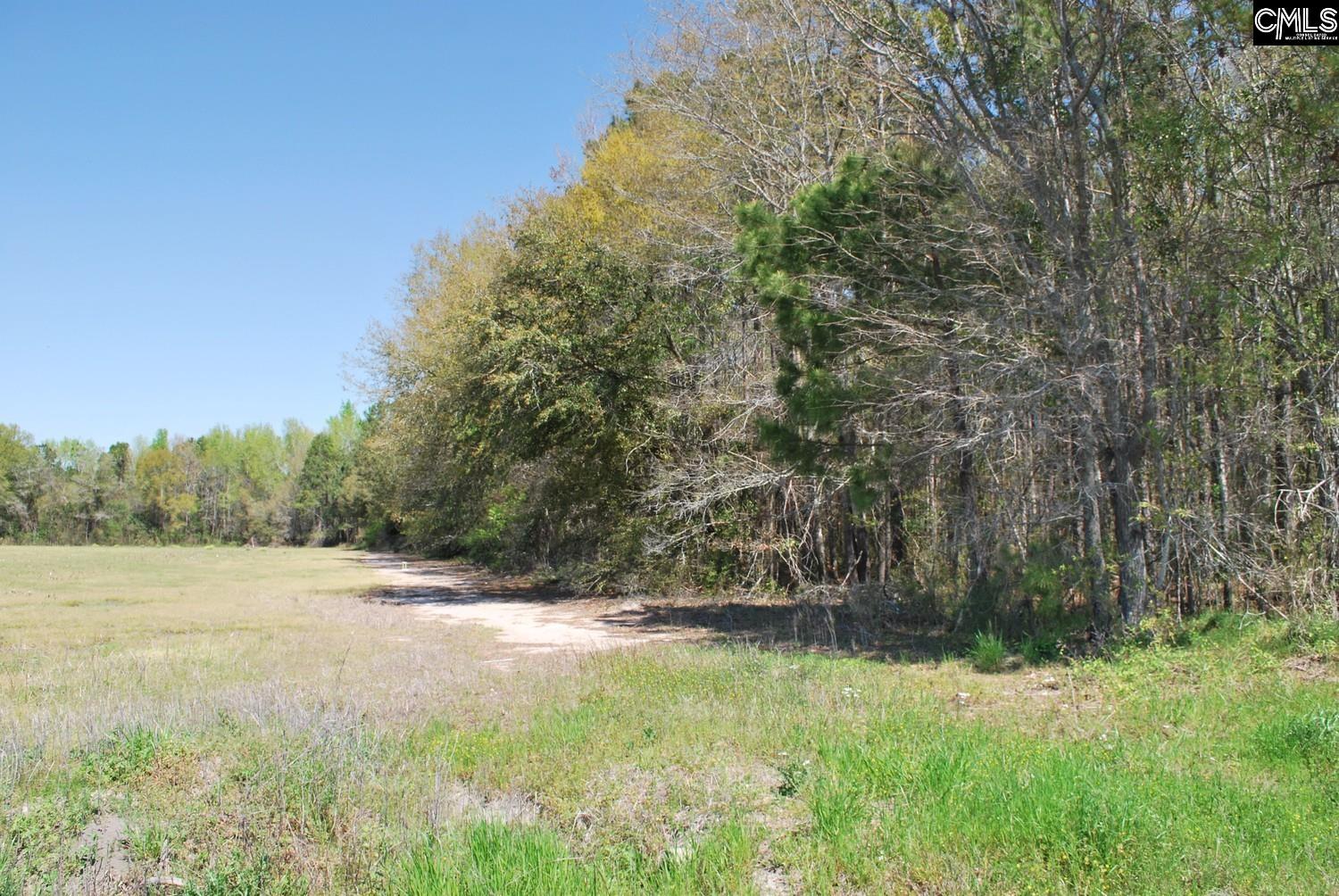 Friendship Road, Santee, South Carolina image 21