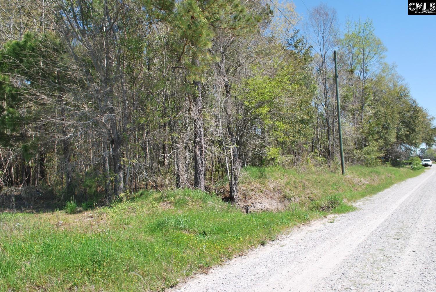 Friendship Road, Santee, South Carolina image 22