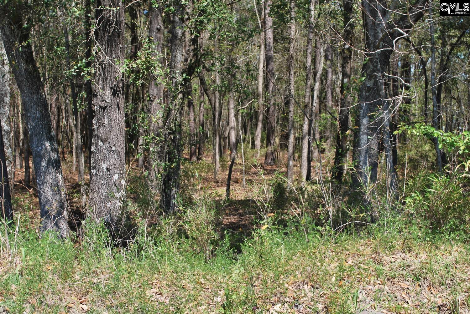 Friendship Road, Santee, South Carolina image 23