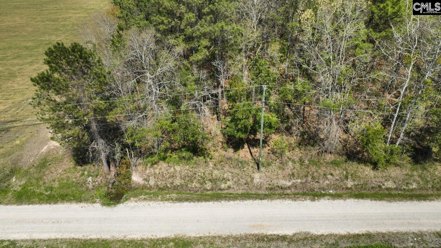 Friendship Road, Santee, South Carolina image 6