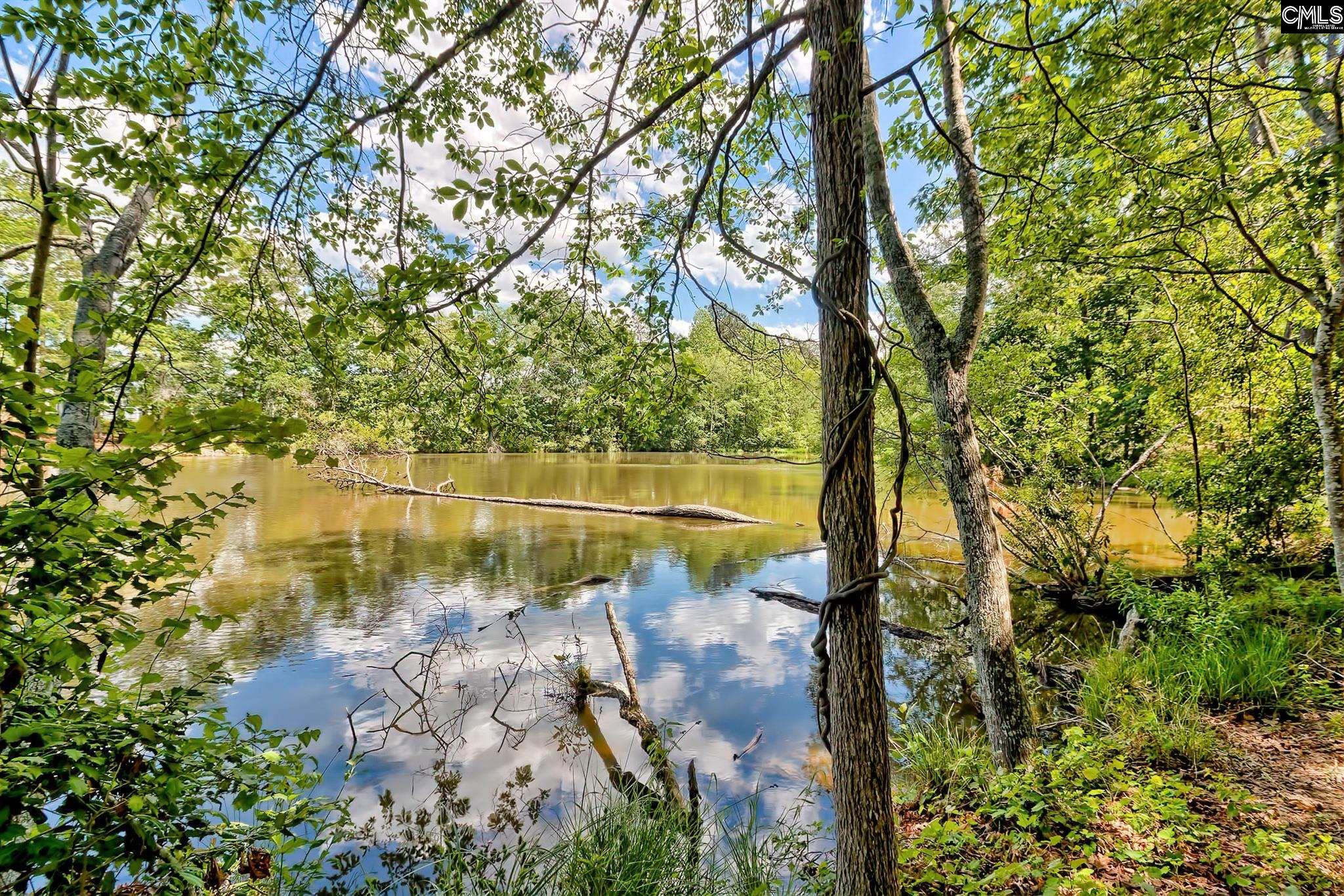 755 Tiger Lily Drive Lexington, SC 29072