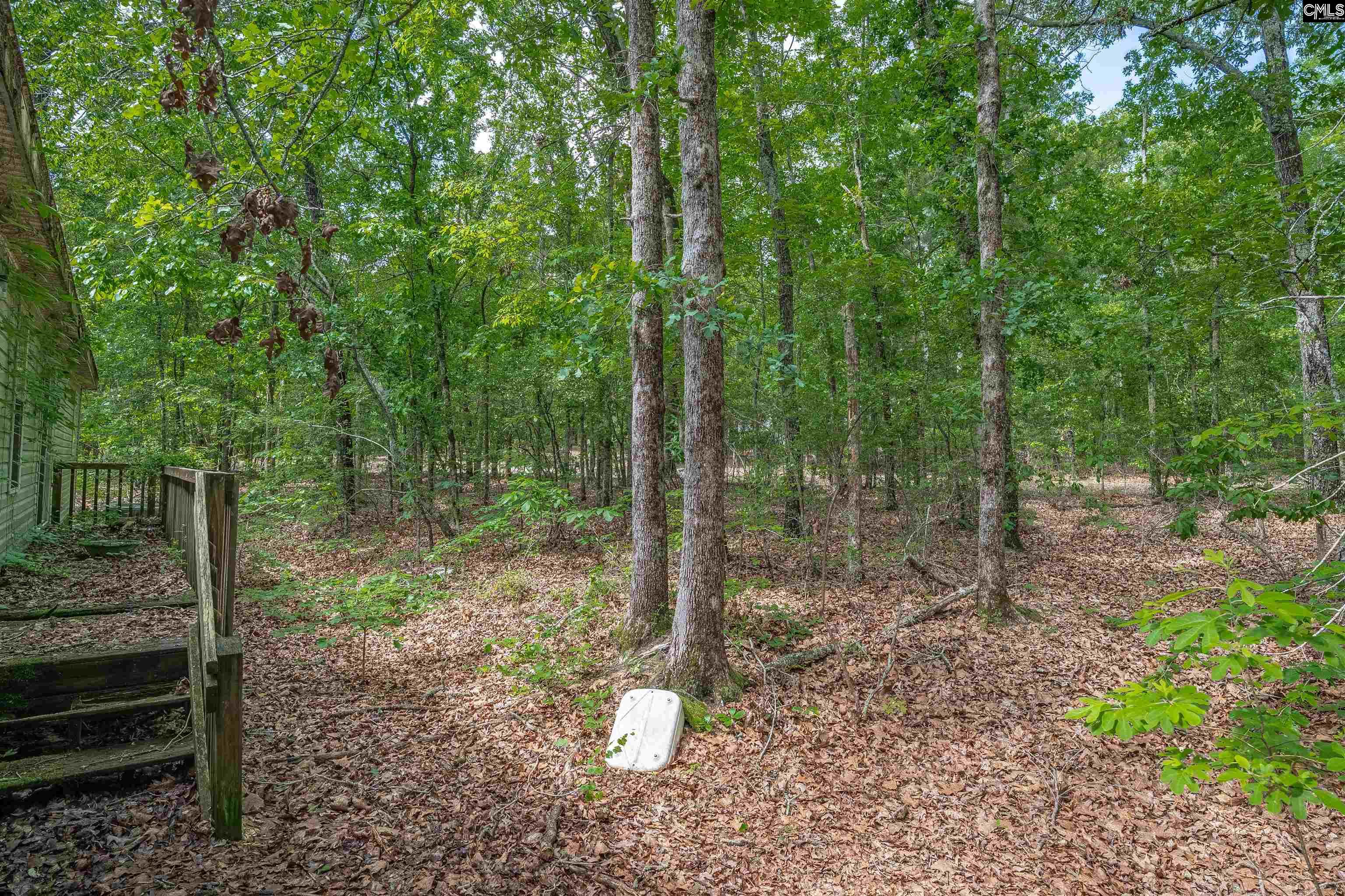 215 Grimes Road, Hopkins, South Carolina image 34