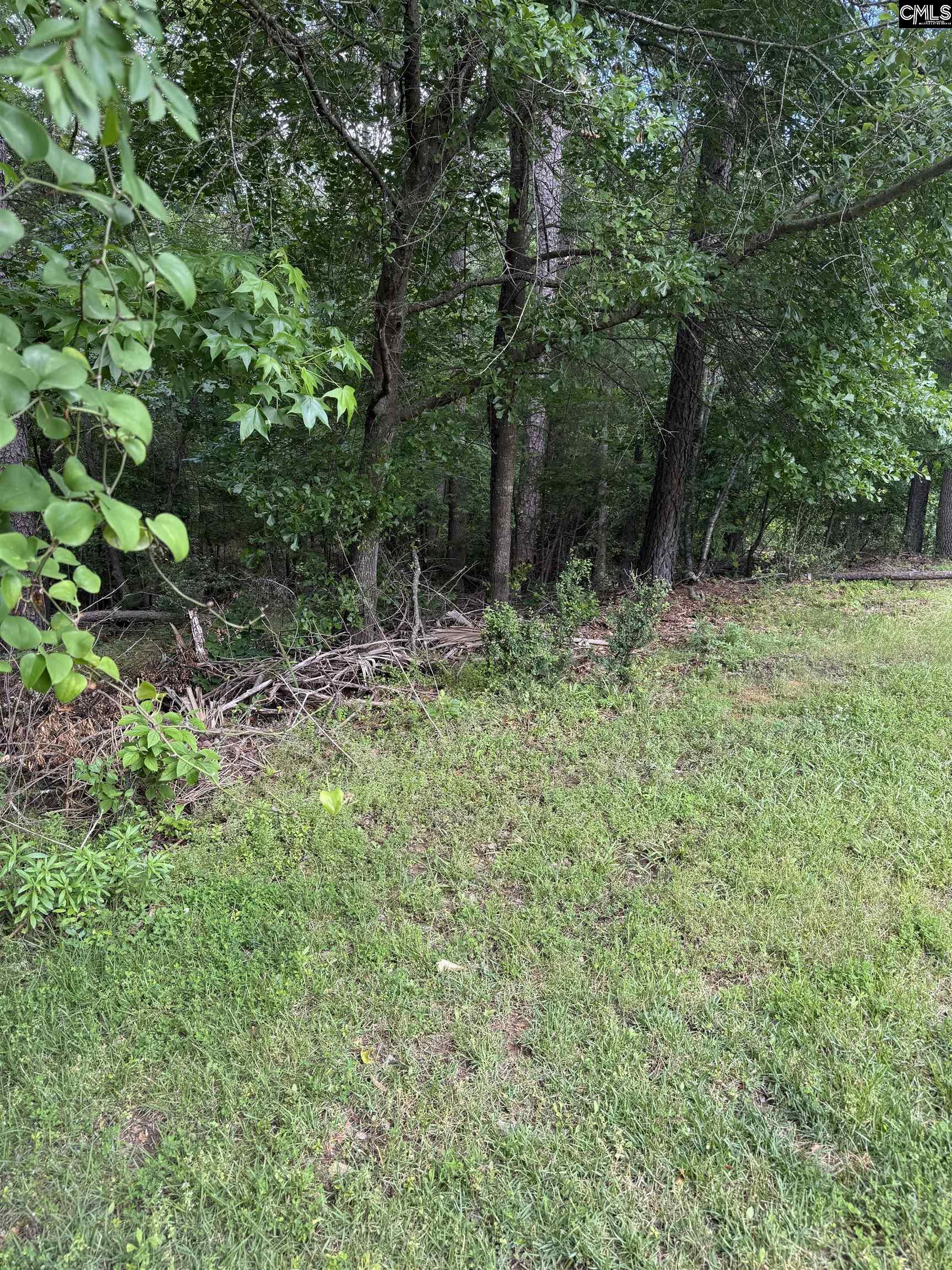 9 Ascot Ridge Ct Irmo, SC 29063