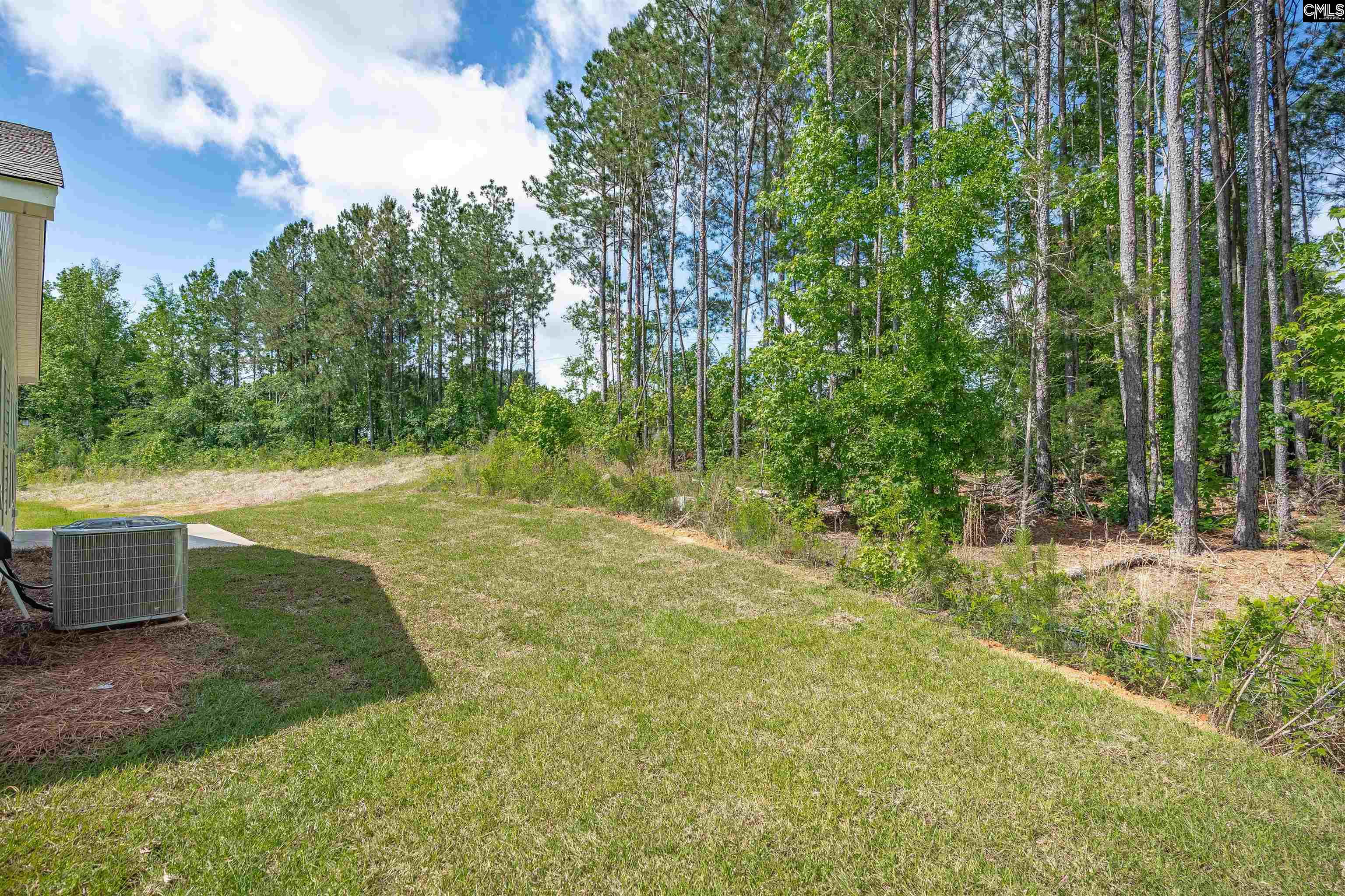 355 Roundup Trail, Prosperity, South Carolina image 13