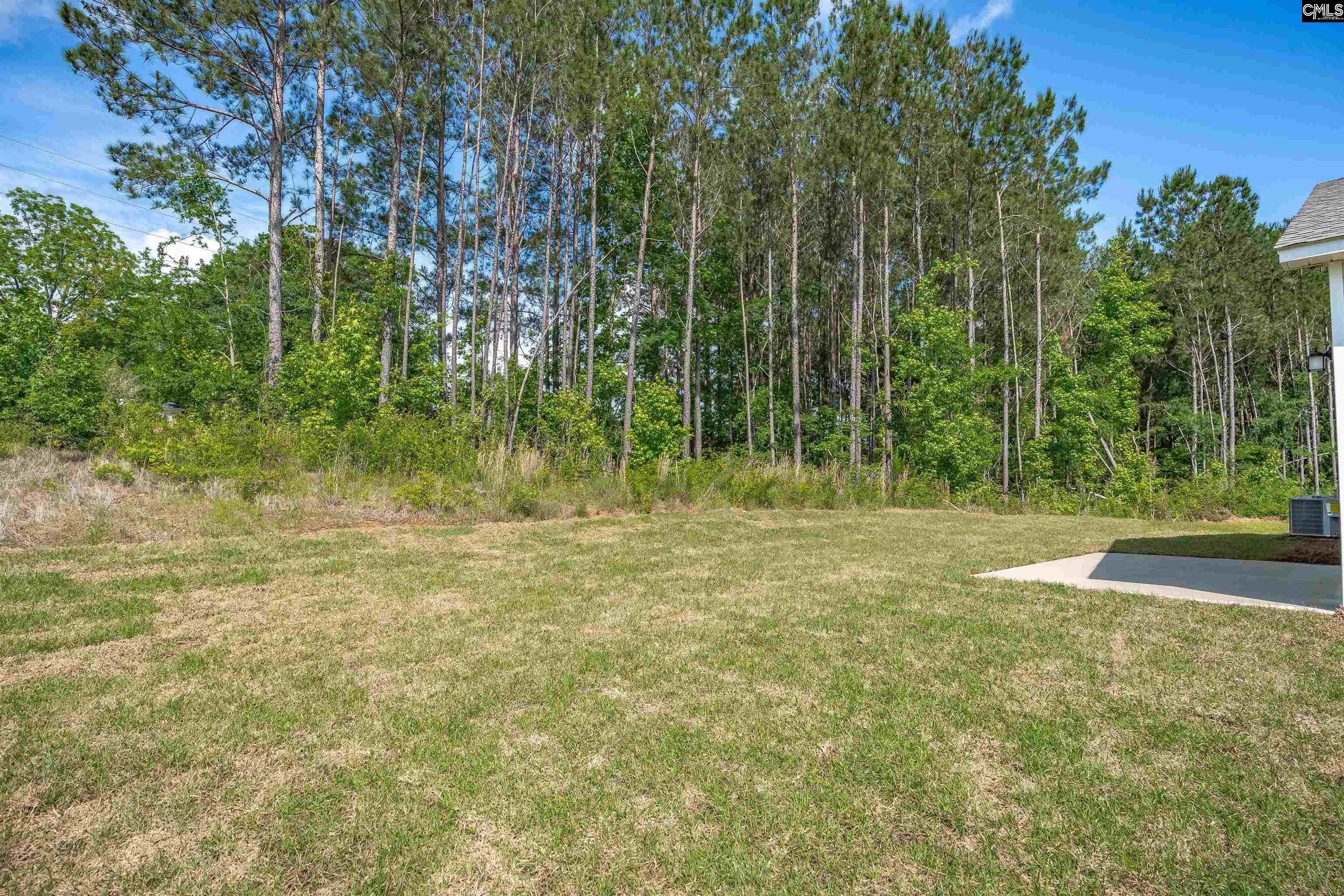 355 Roundup Trail, Prosperity, South Carolina image 7