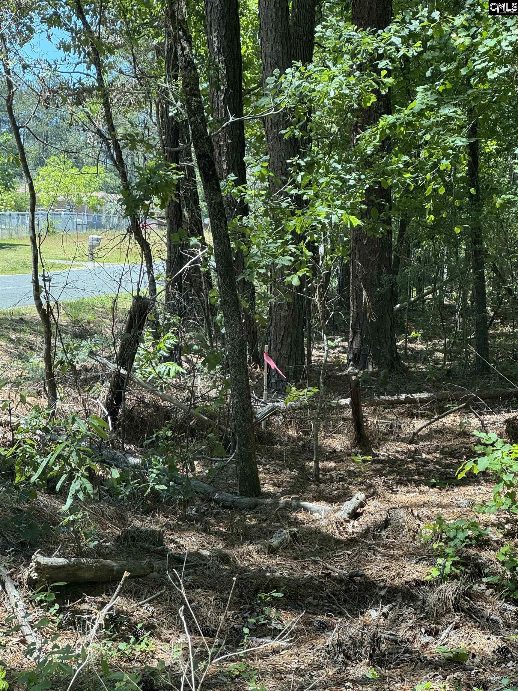 Basil Road, Swansea, South Carolina image 2