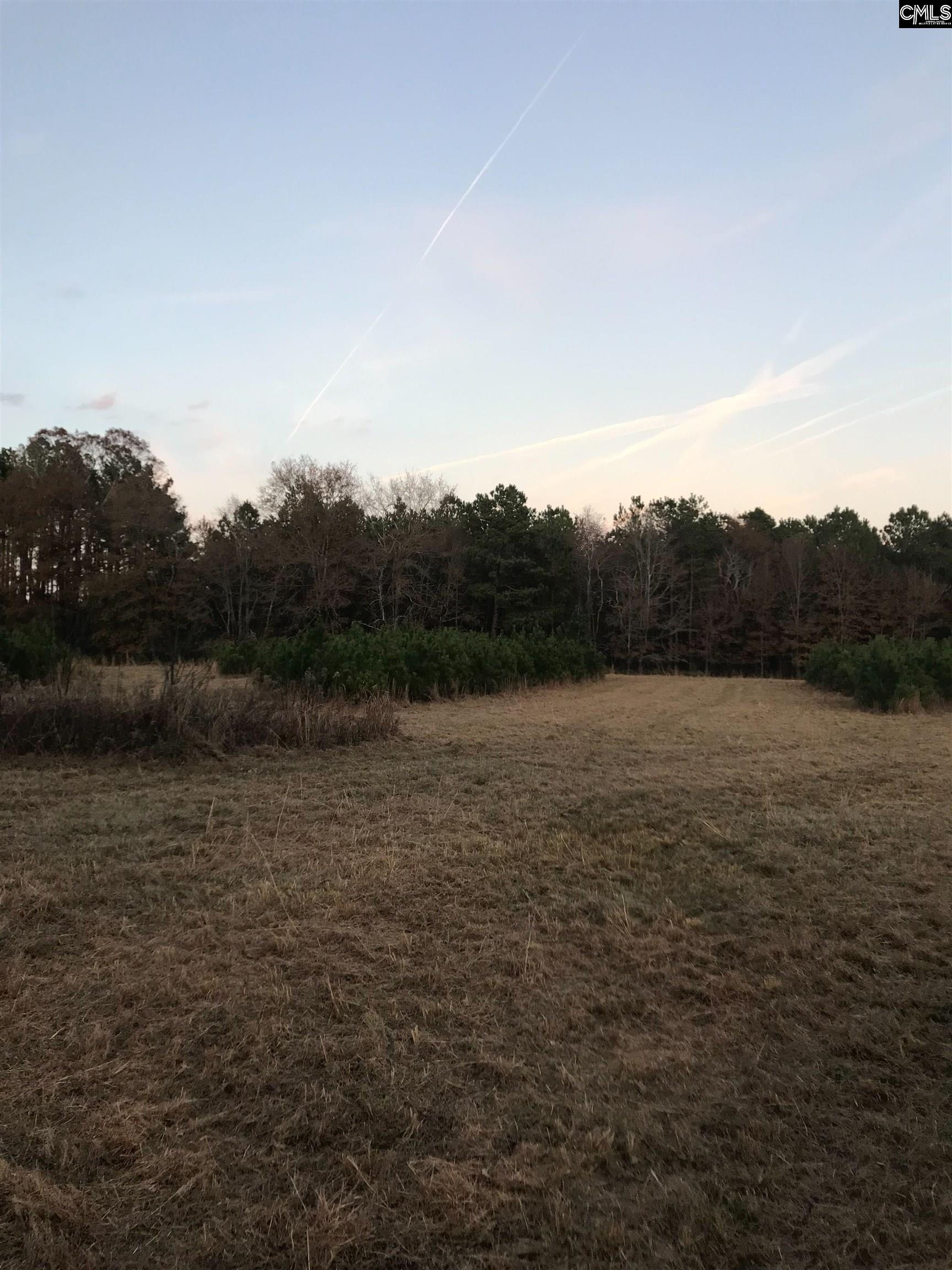 Basil Road, Swansea, South Carolina image 3