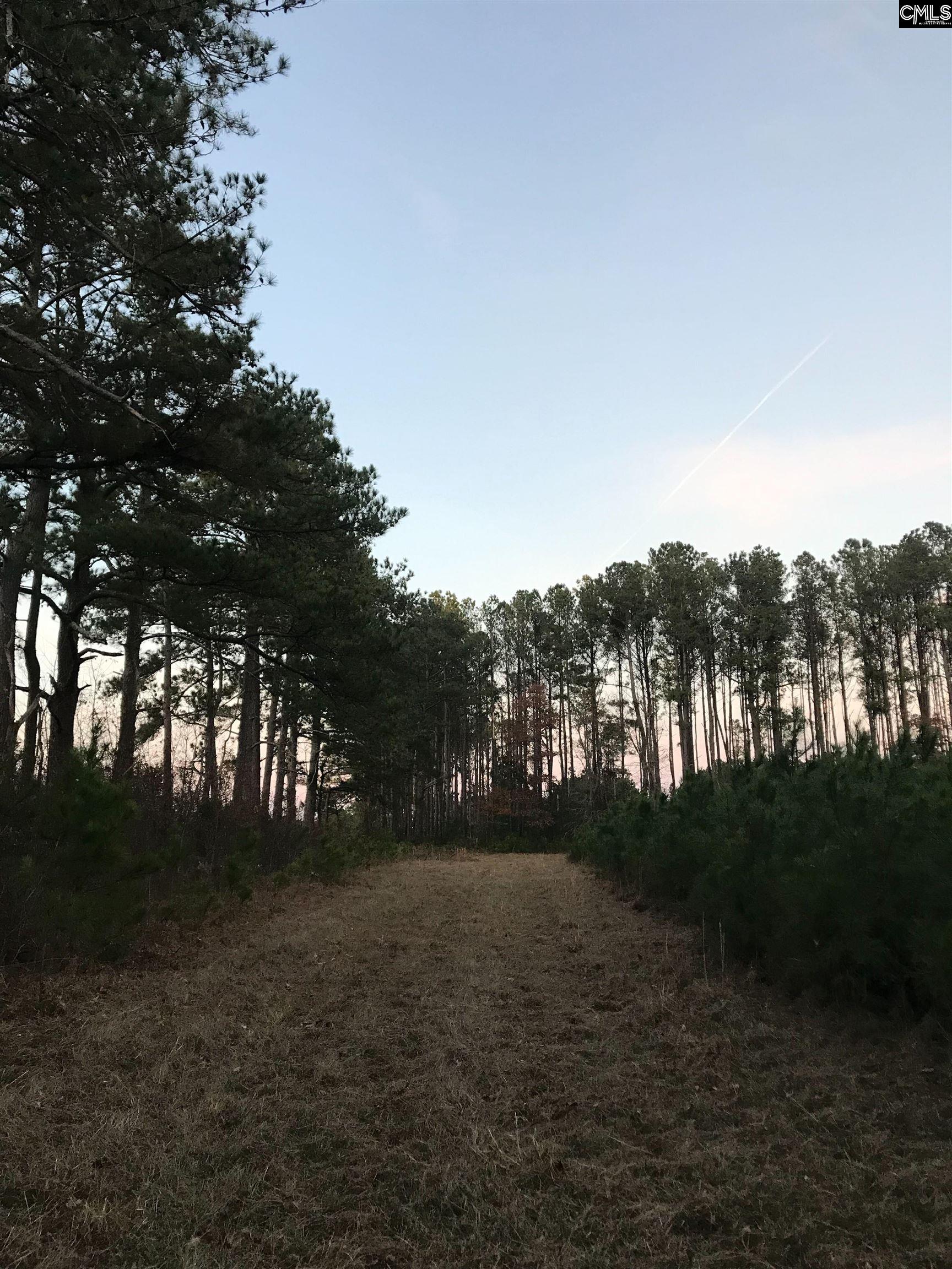 Basil Road, Swansea, South Carolina image 4