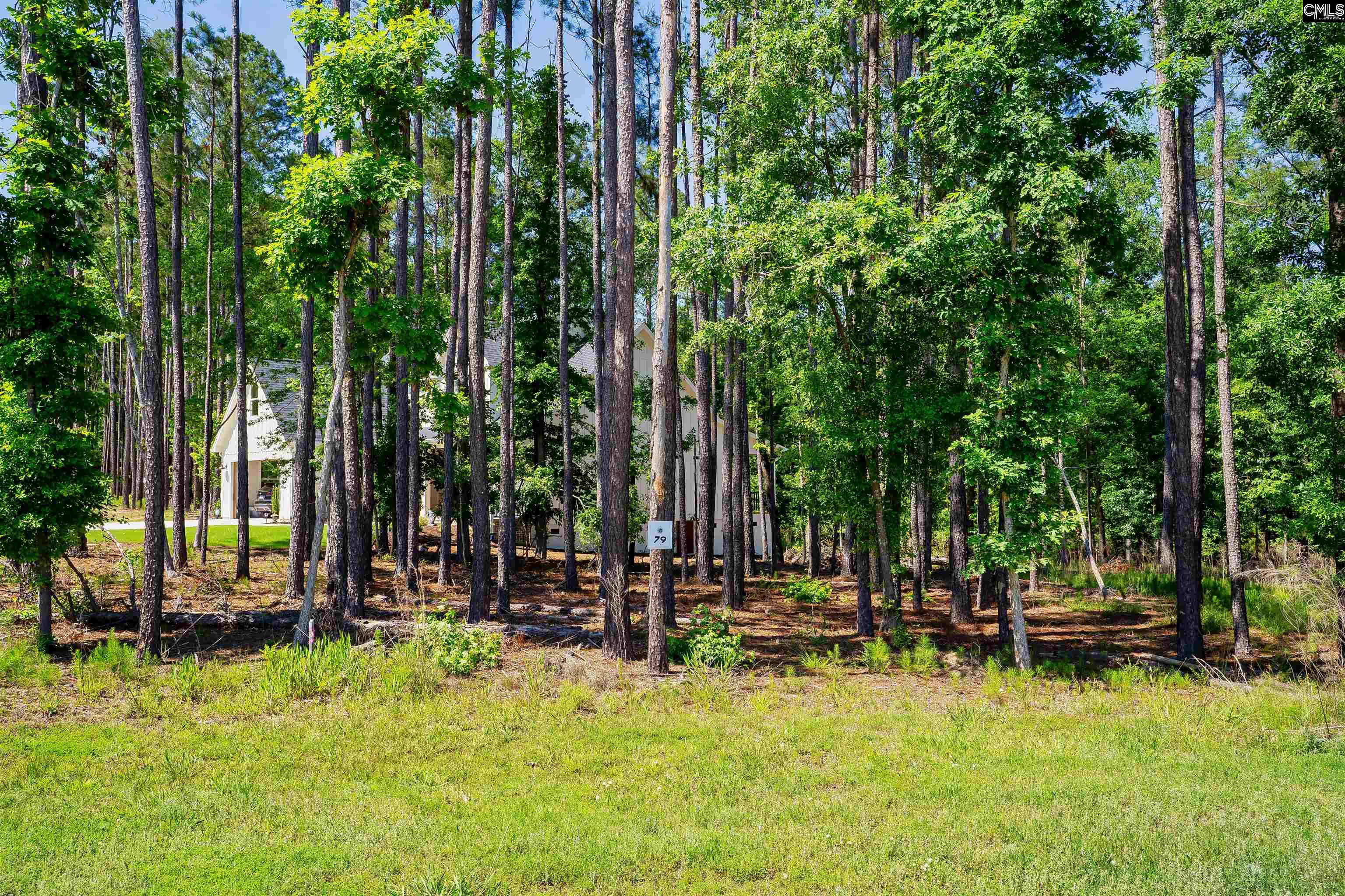 LOT 79 Timbertrail Lane, Prosperity, South Carolina image 1
