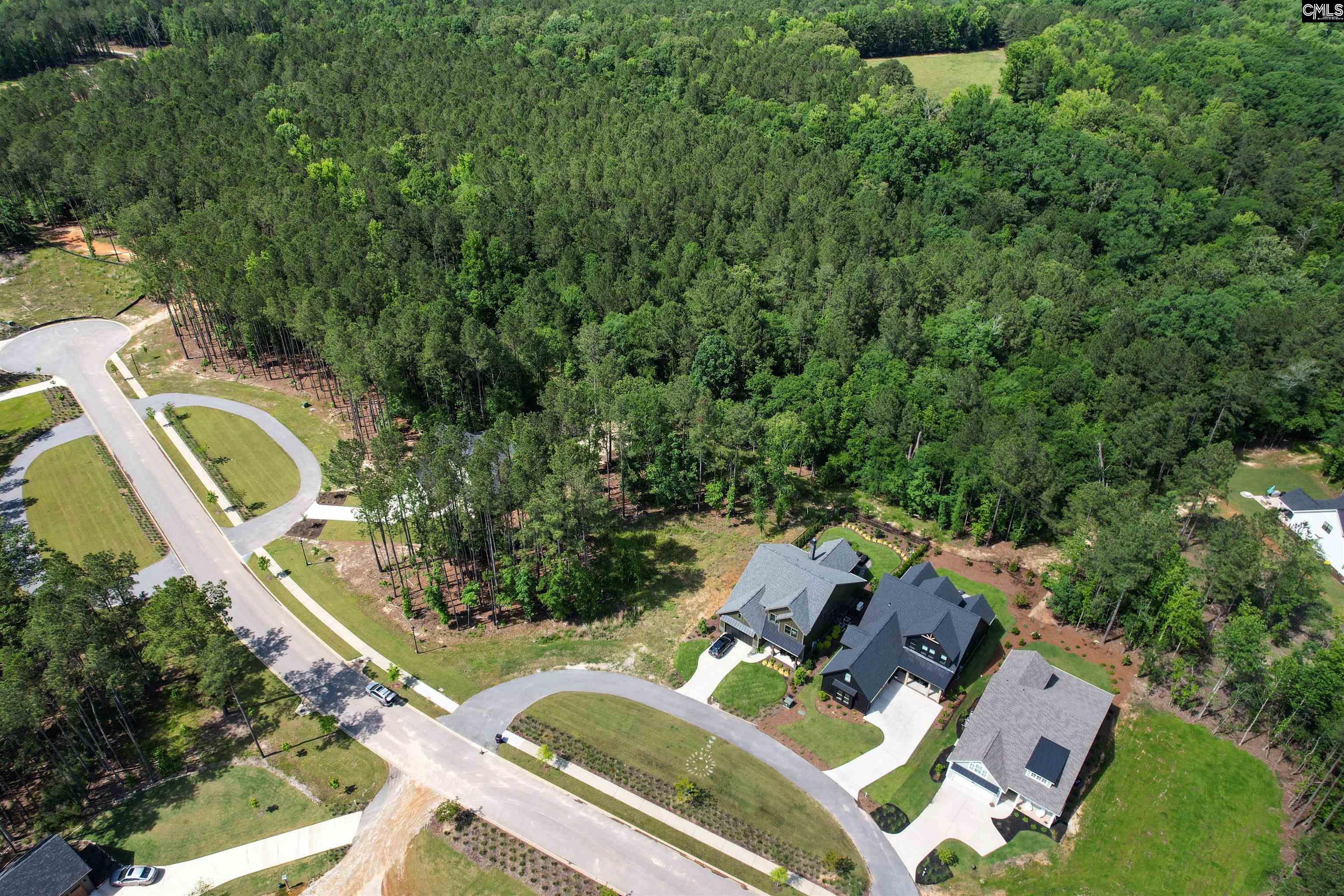 LOT 79 Timbertrail Lane, Prosperity, South Carolina image 5