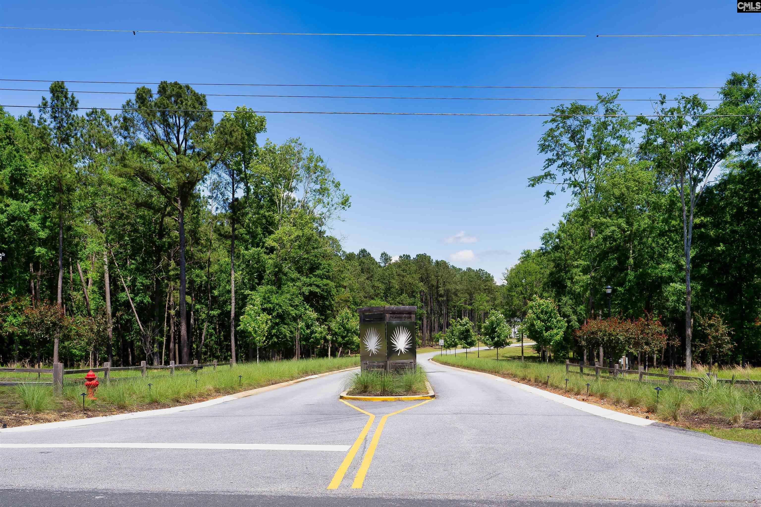 LOT 79 Timbertrail Lane, Prosperity, South Carolina image 6