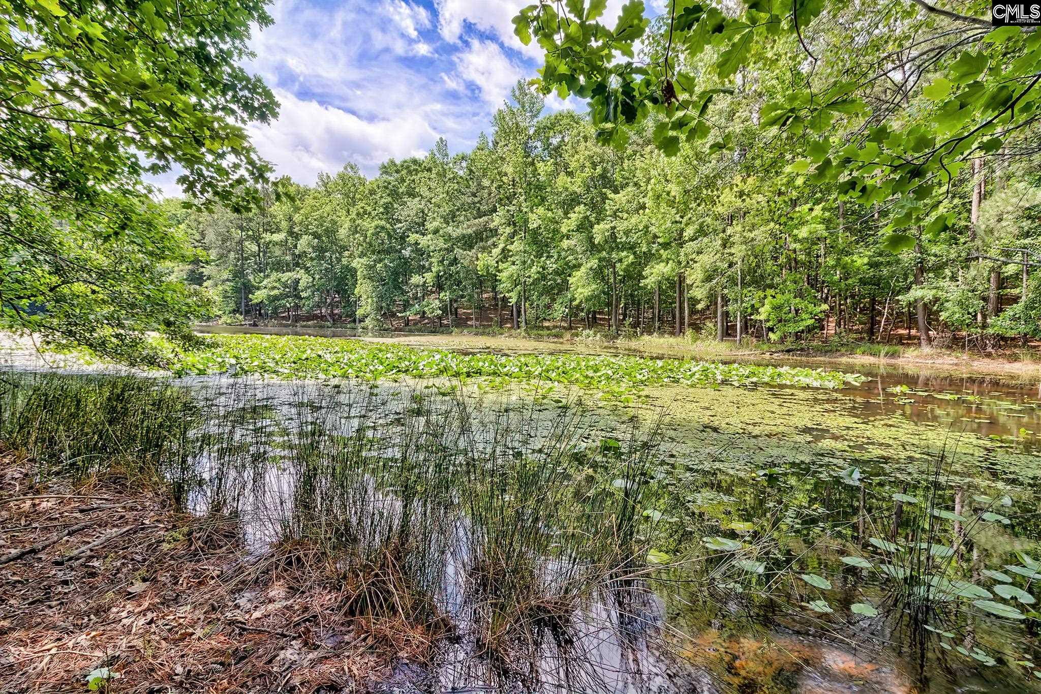 29 Dollar, Ridgeway, South Carolina image 18