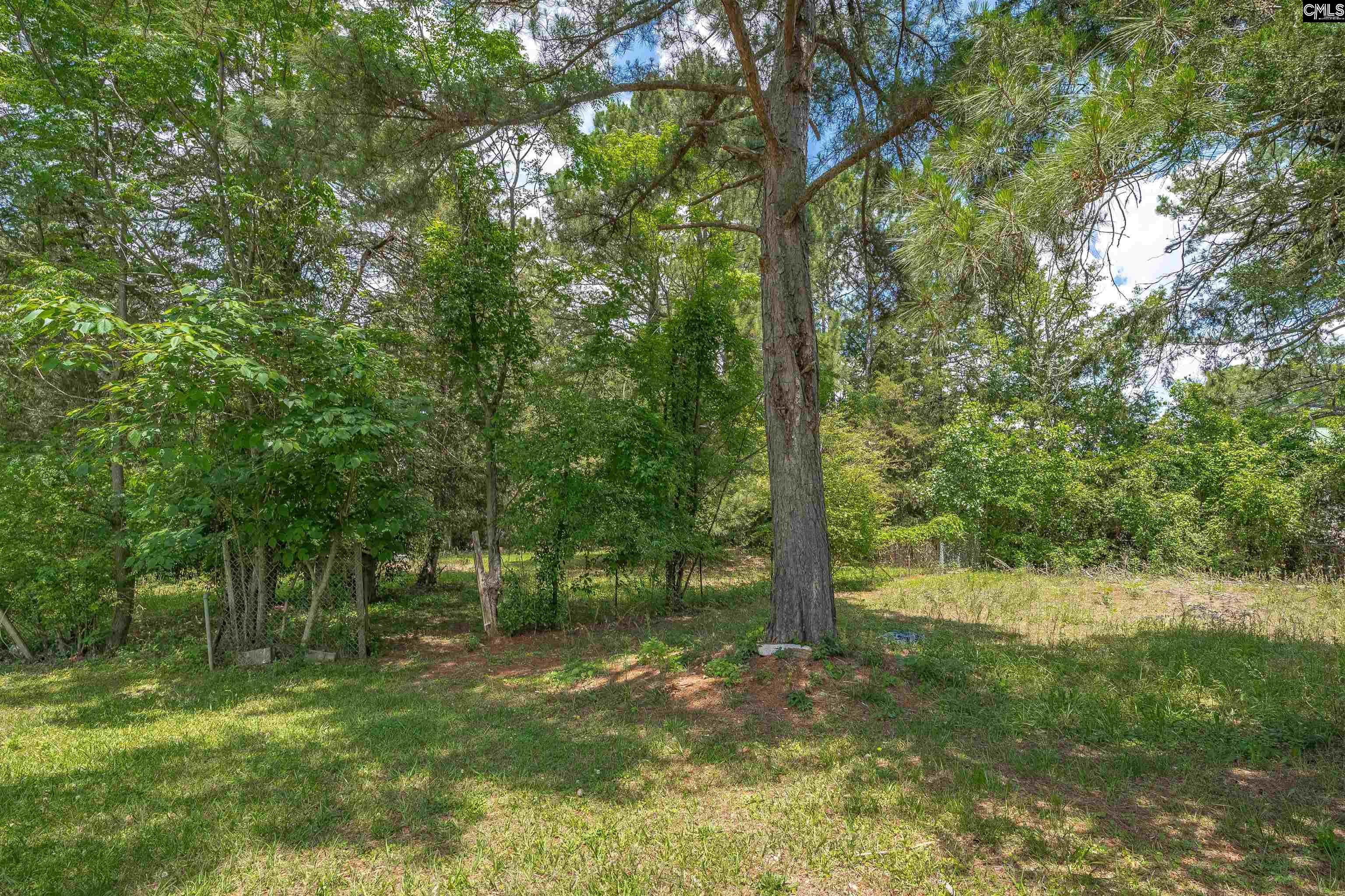 64 Robinson Avenue, Winnsboro, South Carolina image 14