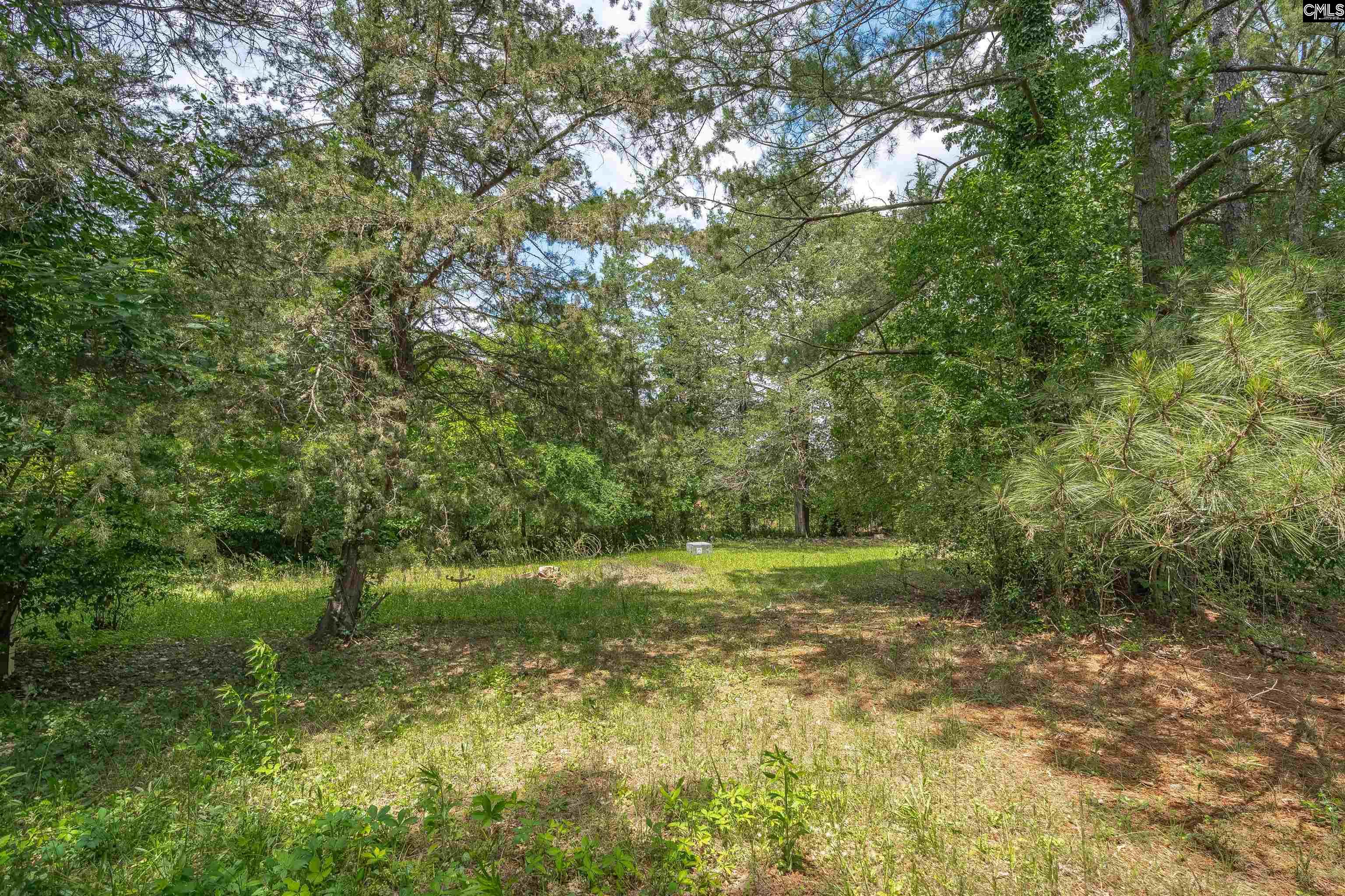 64 Robinson Avenue, Winnsboro, South Carolina image 16