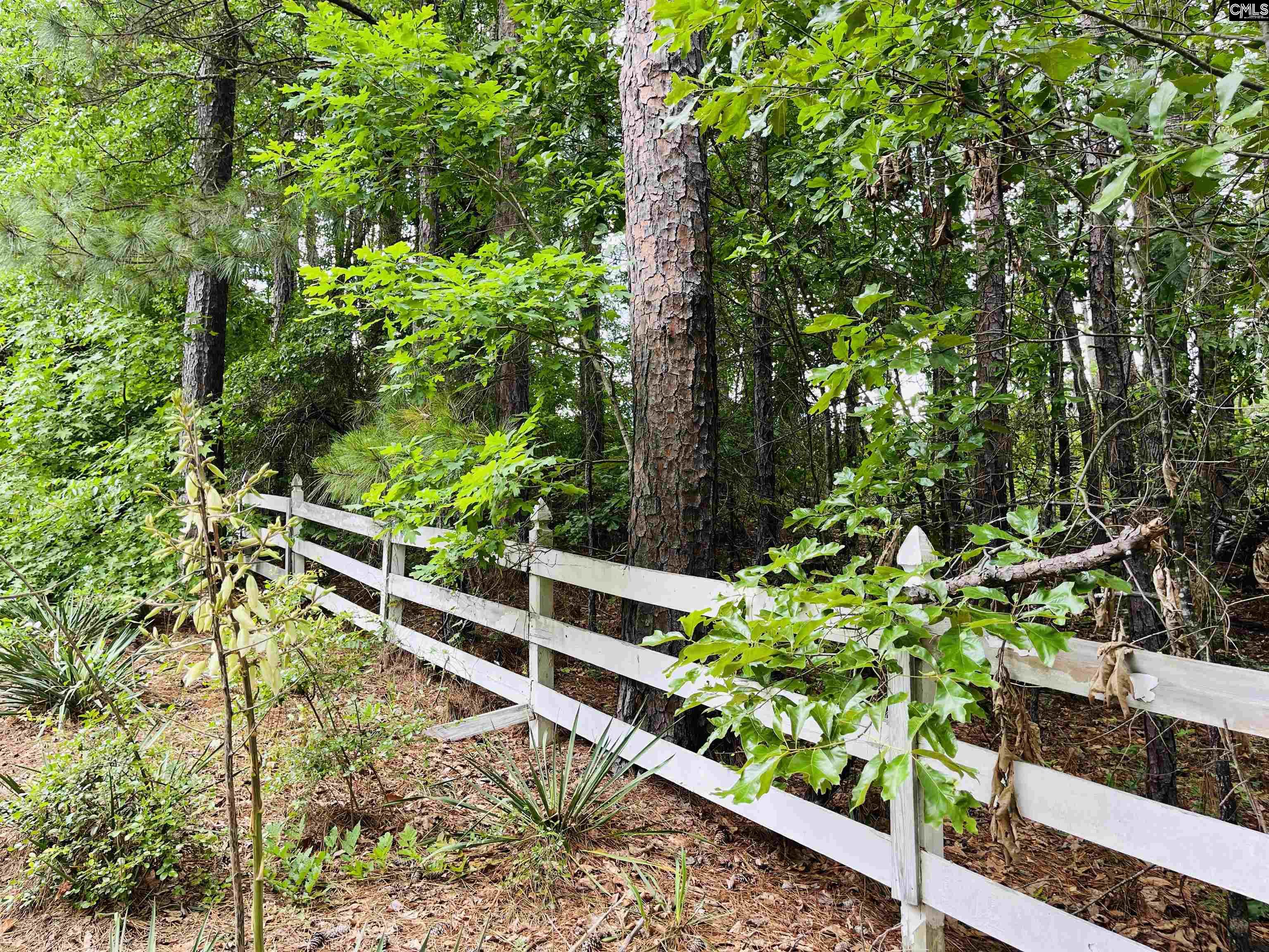 623 Pine Grove Road, Lugoff, South Carolina image 44