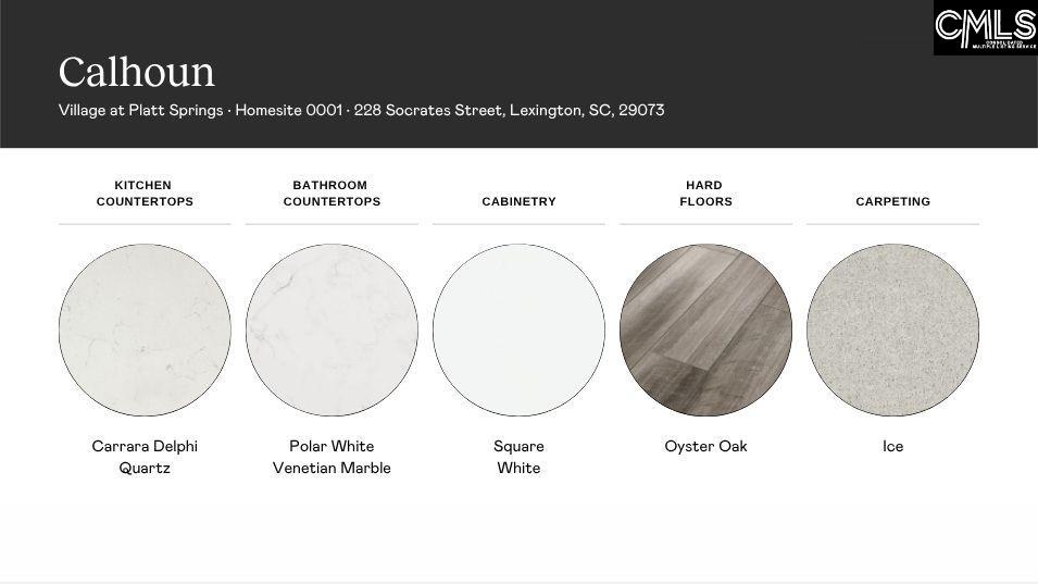 228 Socrates Street Lexington, SC 29073