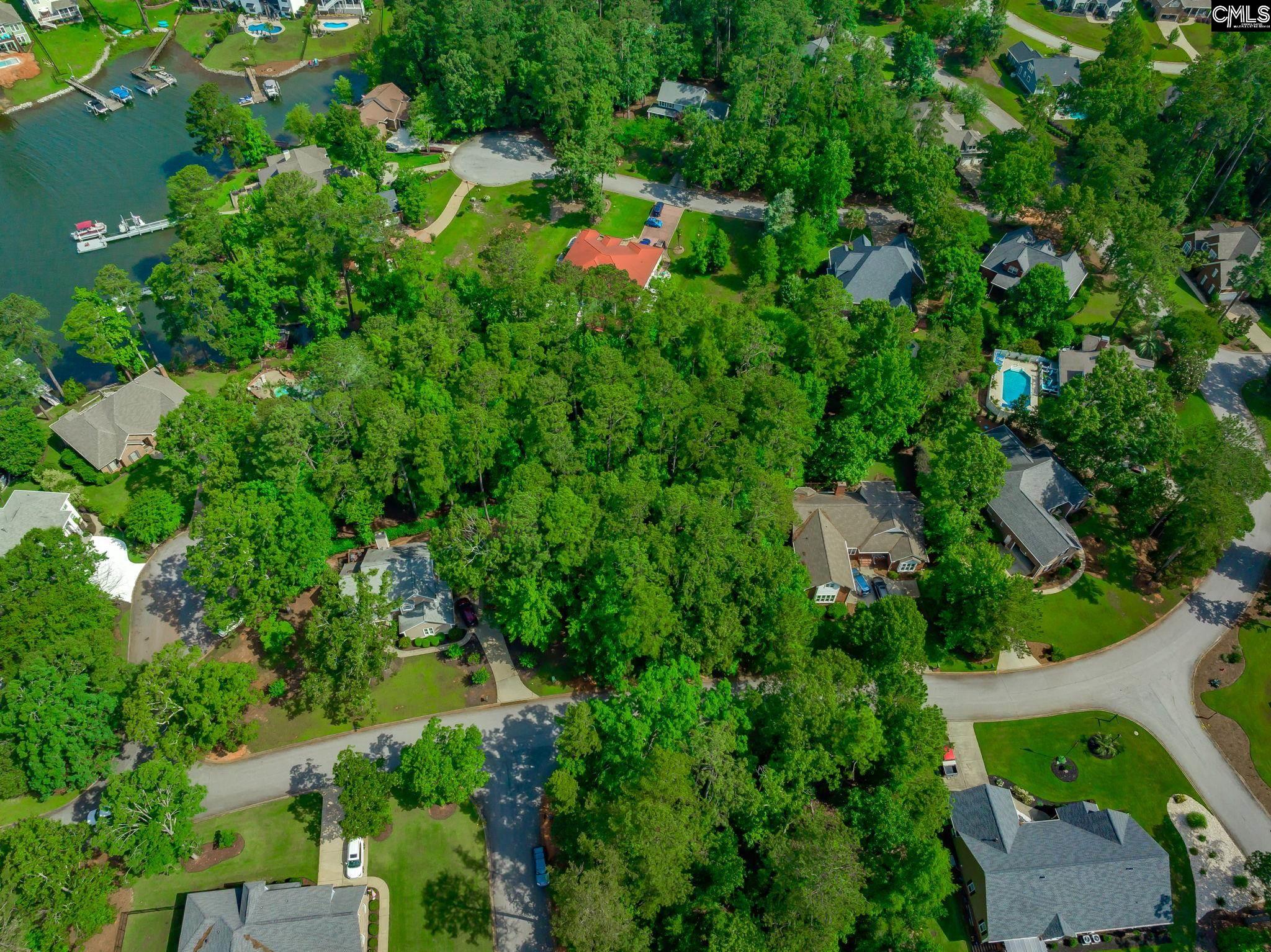 506 Timberlake Drive, Chapin, South Carolina image 2