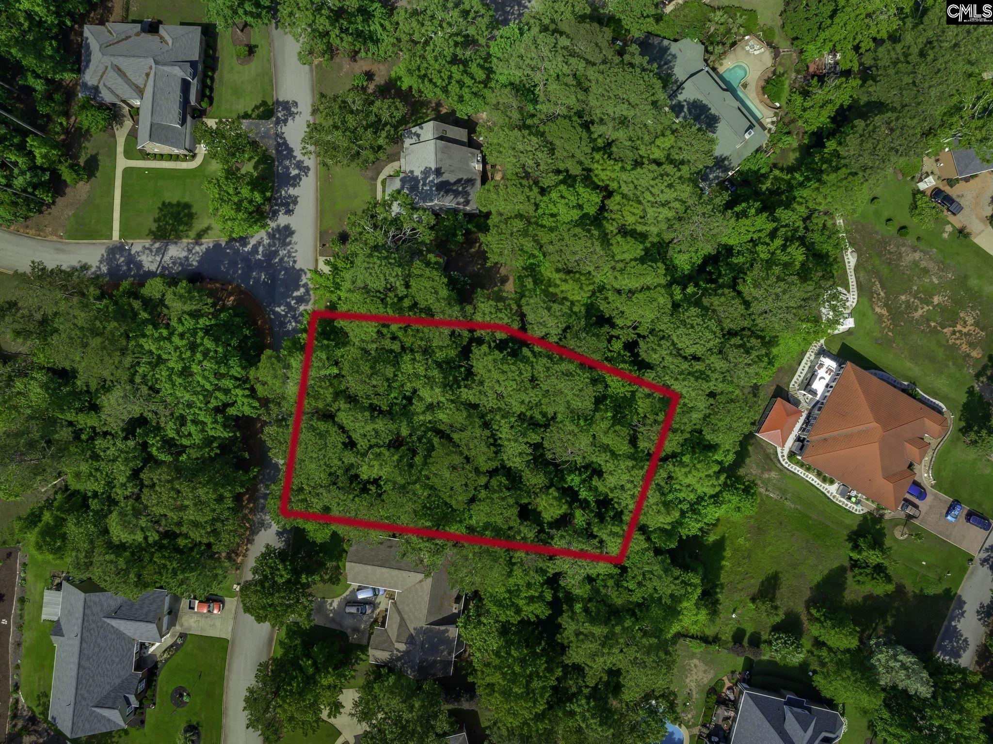 506 Timberlake Drive, Chapin, South Carolina image 11