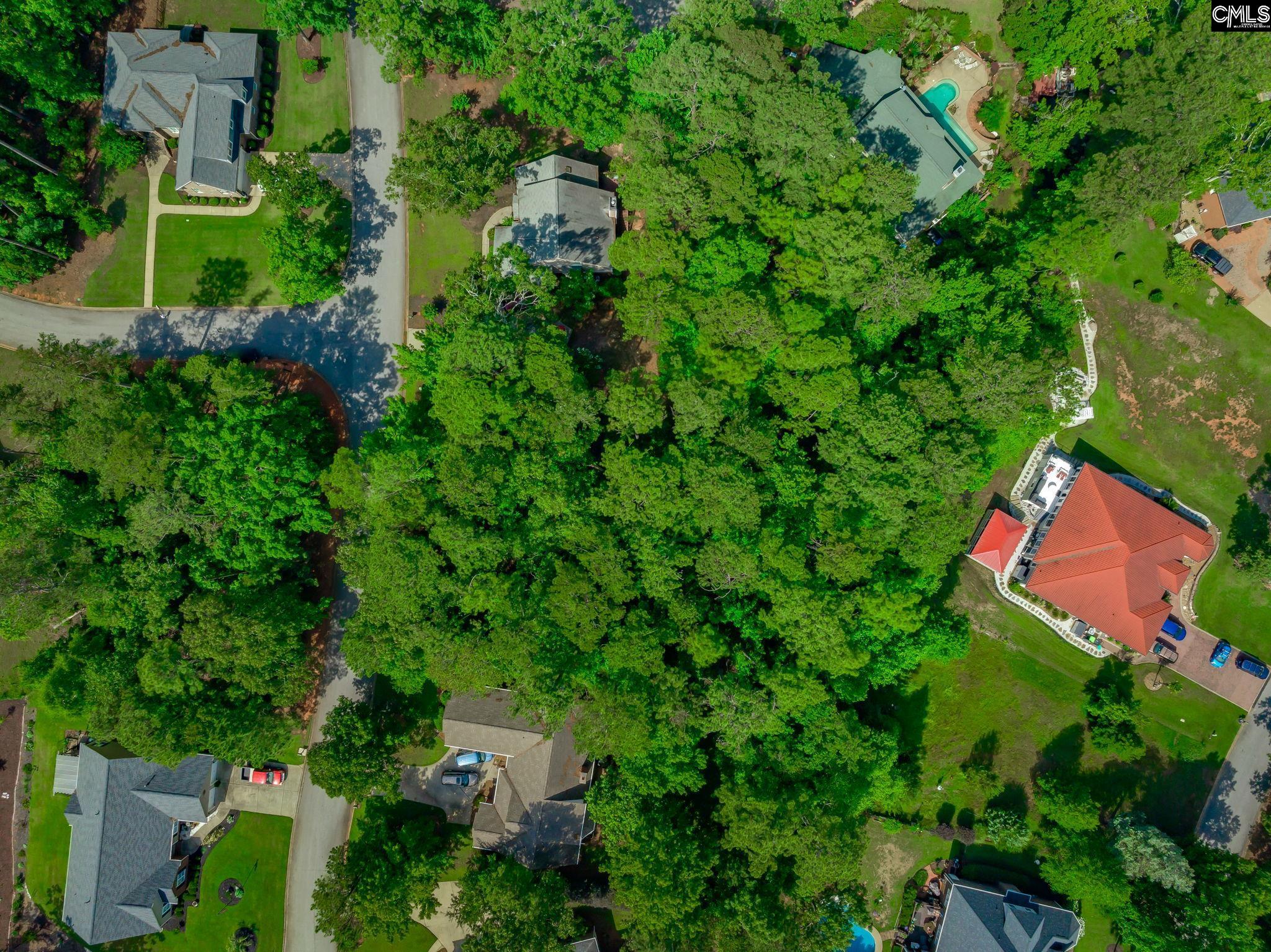506 Timberlake Drive, Chapin, South Carolina image 12