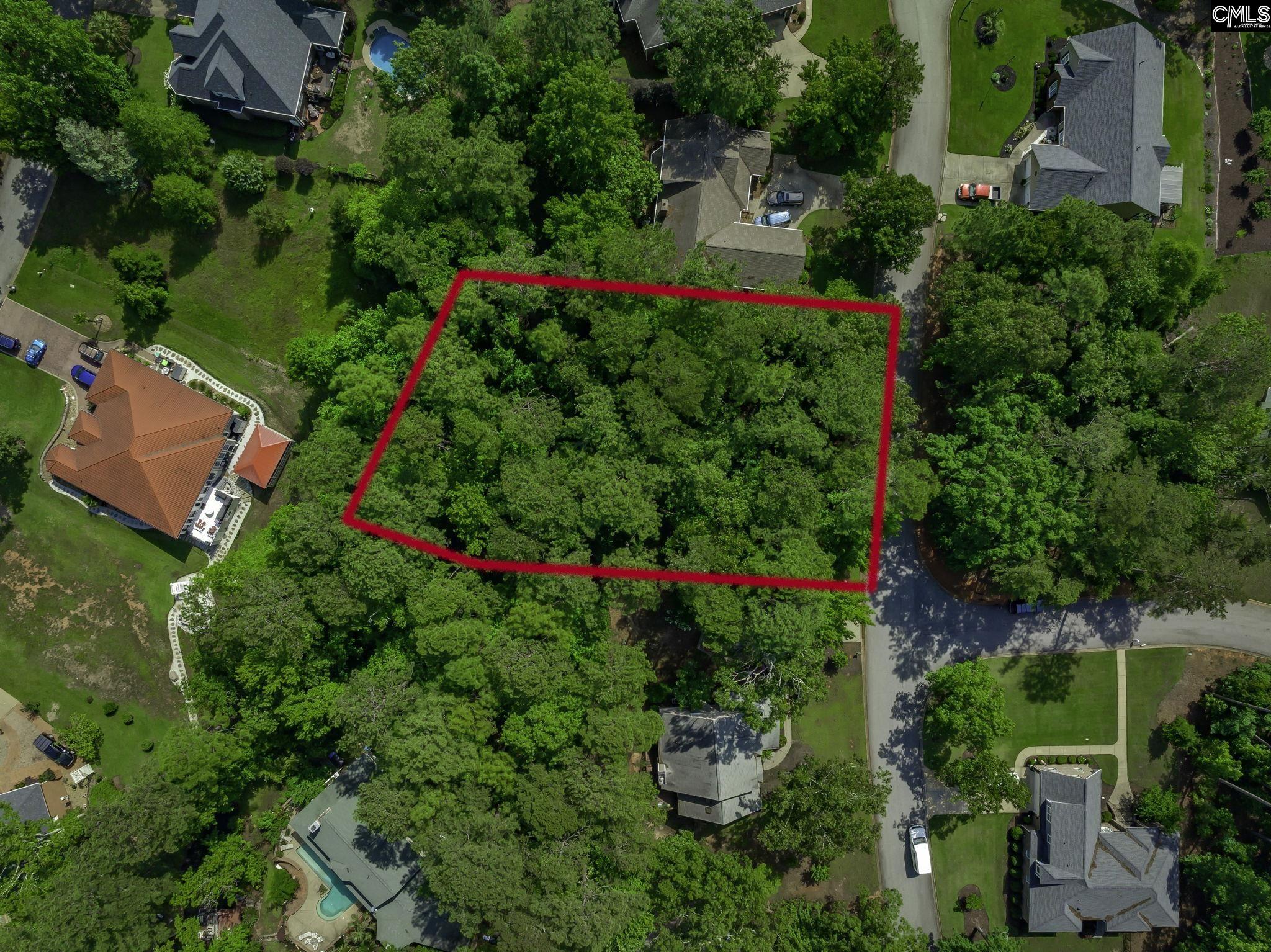 506 Timberlake Drive, Chapin, South Carolina image 13