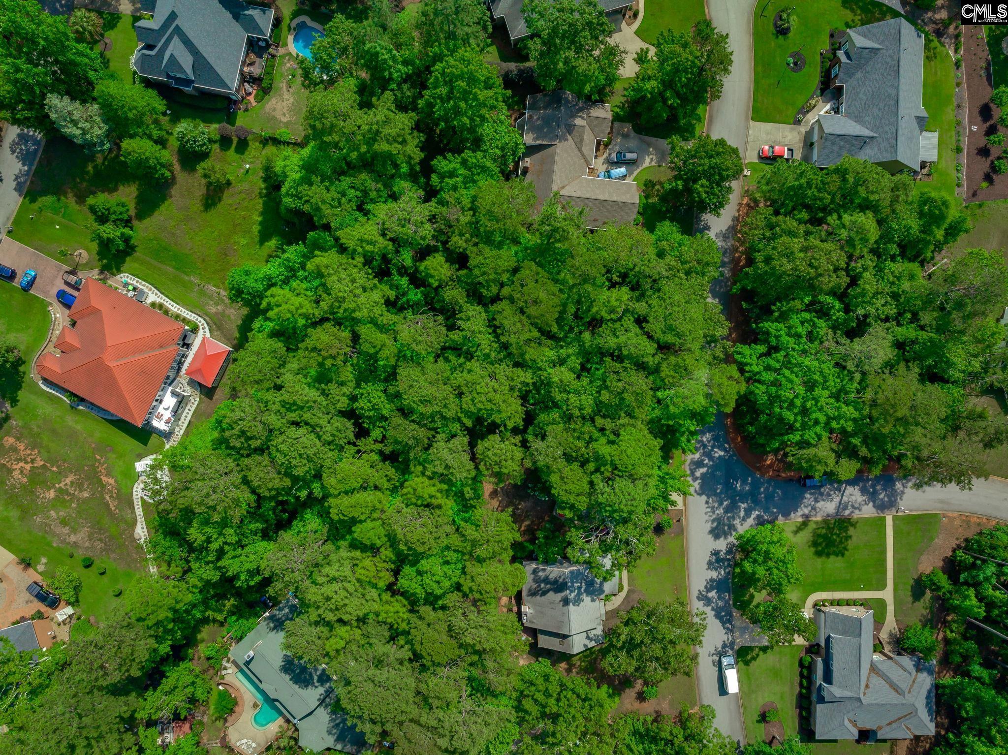 506 Timberlake Drive, Chapin, South Carolina image 14