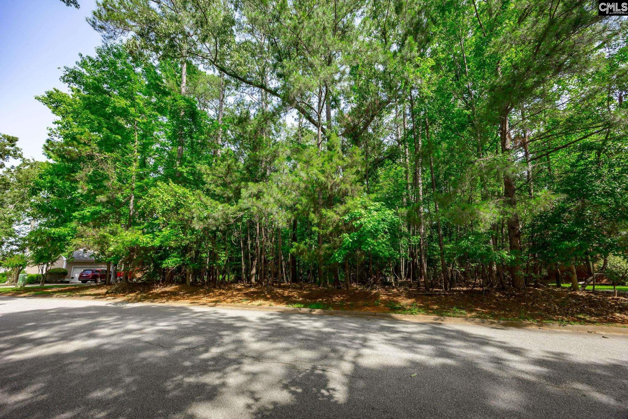 506 Timberlake Drive, Chapin, South Carolina image 15