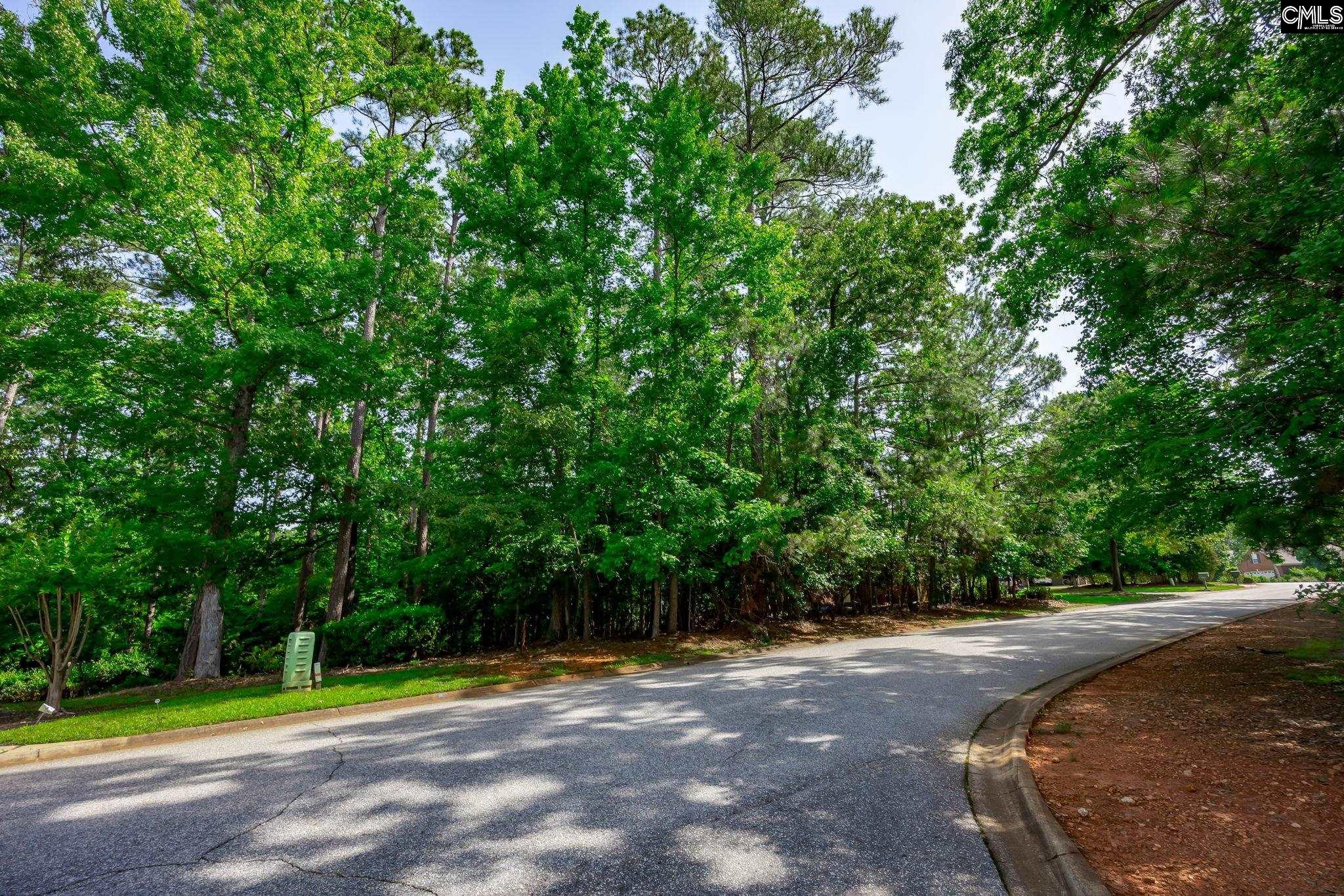 506 Timberlake Drive, Chapin, South Carolina image 16