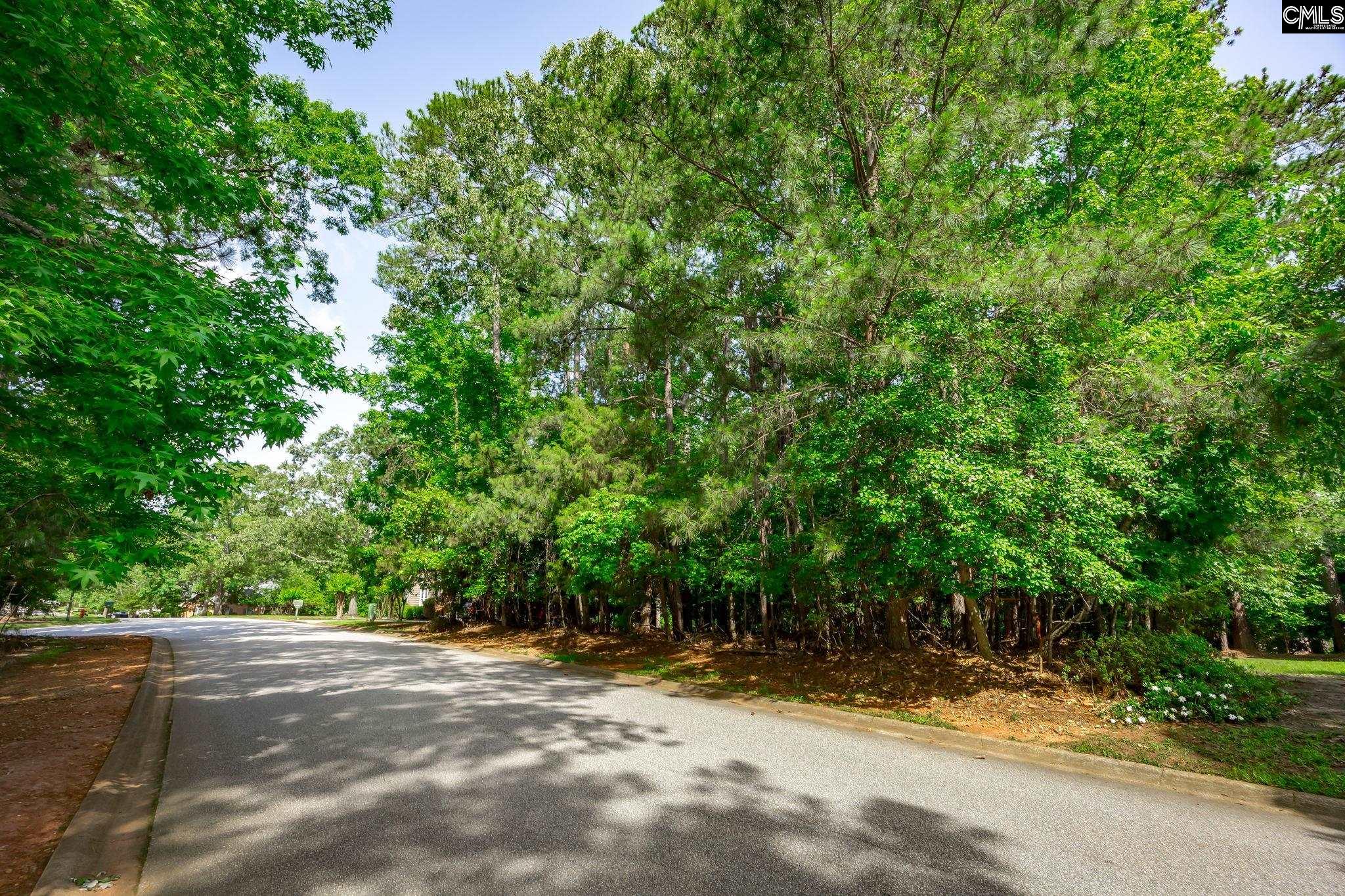 506 Timberlake Drive, Chapin, South Carolina image 17