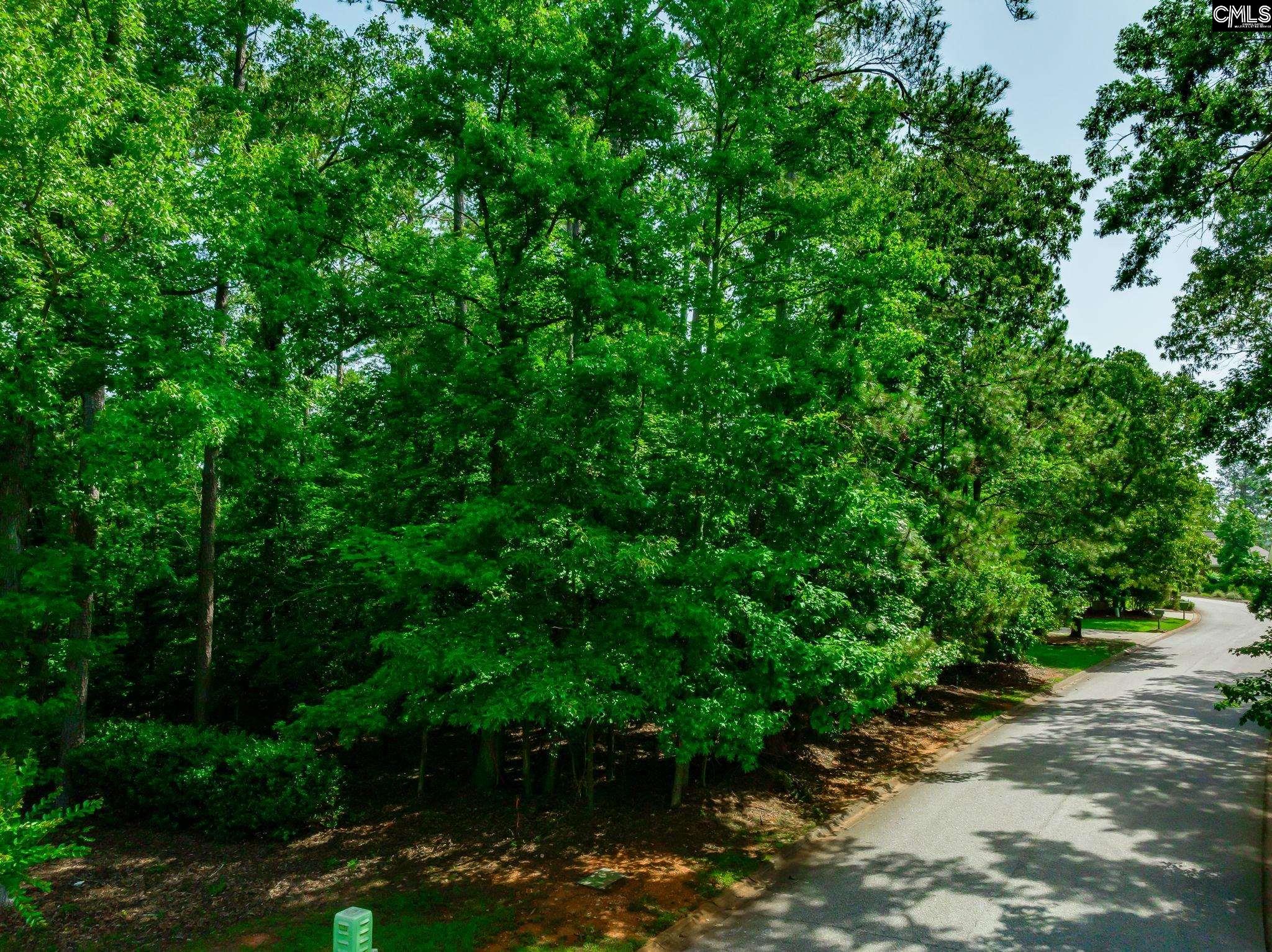 506 Timberlake Drive, Chapin, South Carolina image 18