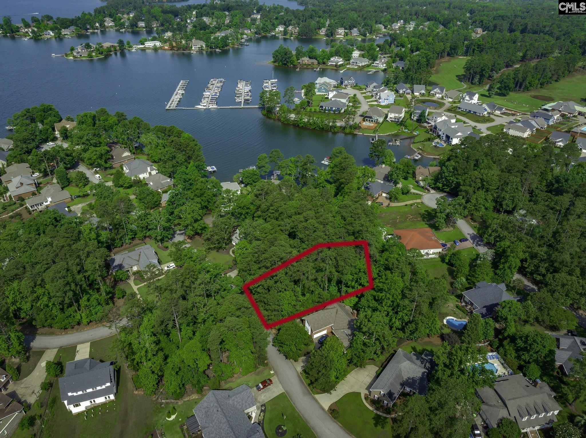 506 Timberlake Drive, Chapin, South Carolina image 3