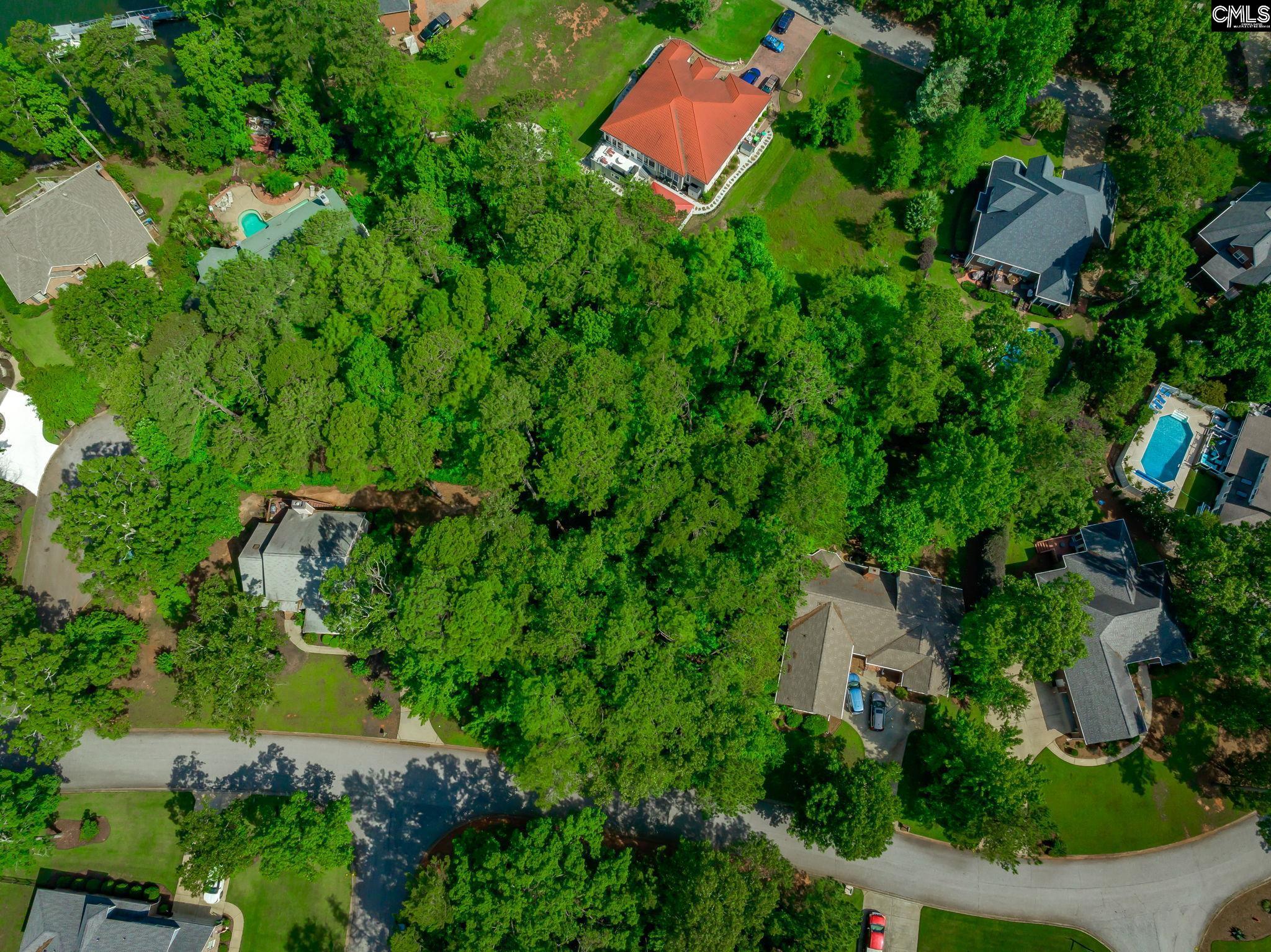 506 Timberlake Drive, Chapin, South Carolina image 21