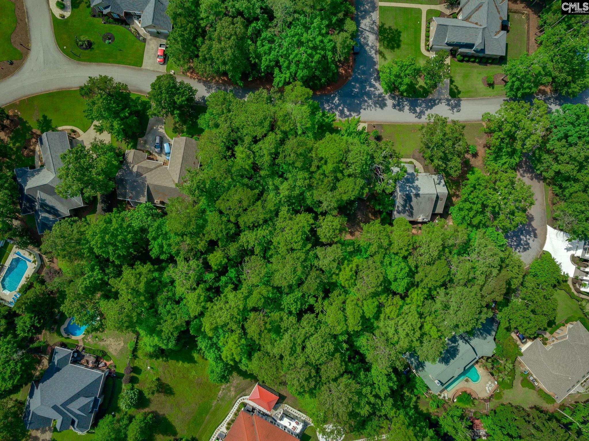506 Timberlake Drive, Chapin, South Carolina image 22