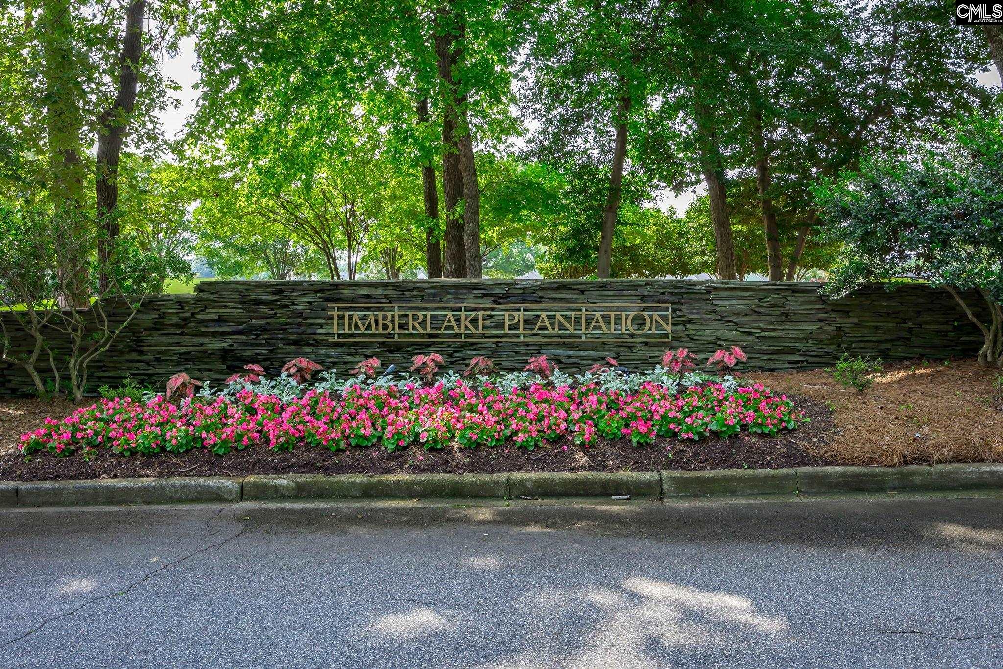 506 Timberlake Drive, Chapin, South Carolina image 23